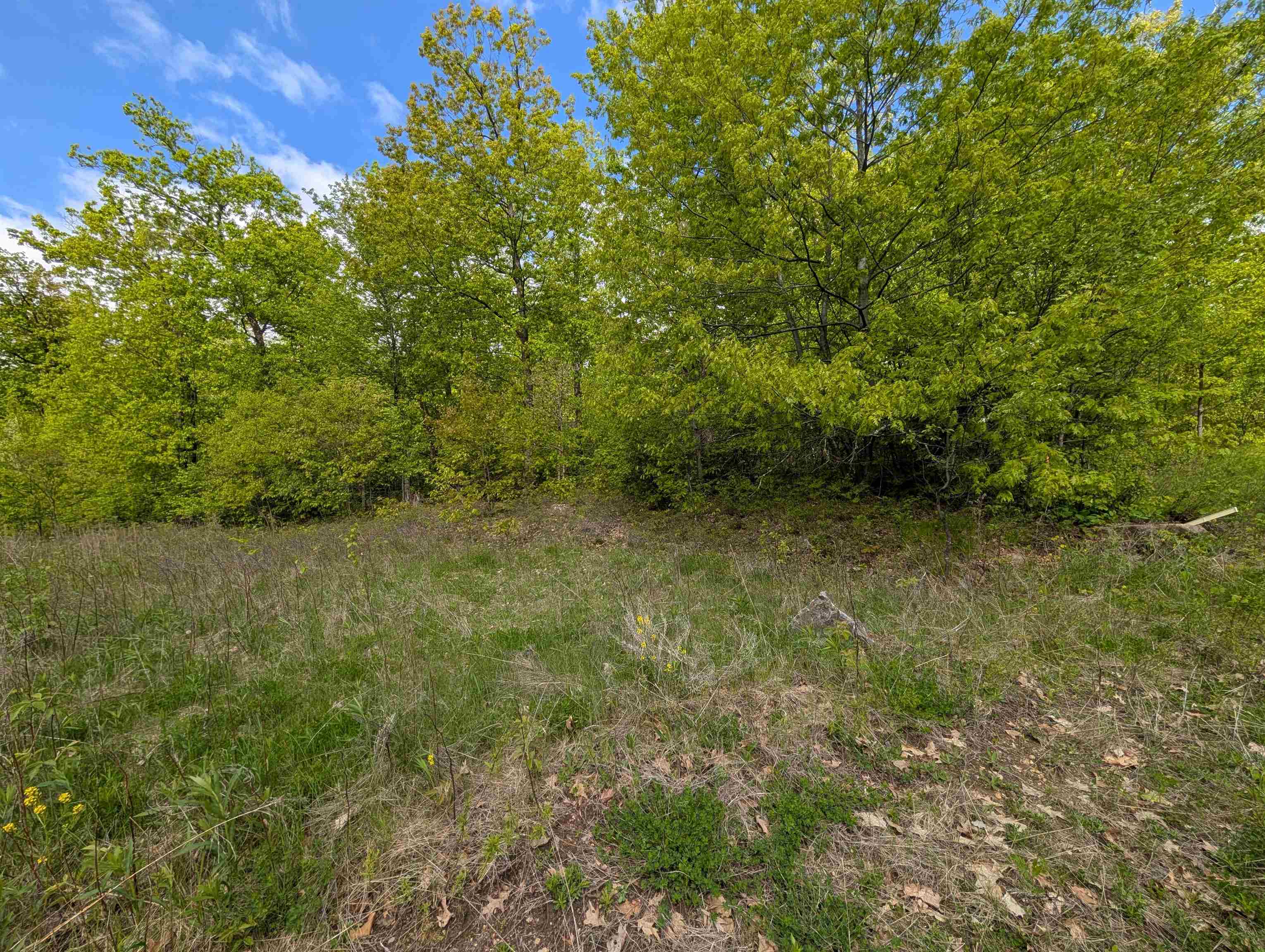 Lot 7 ACORN RIDGE ESTATES SUBDIVISION, Mosinee, Wisconsin 54455, ,Land,For Sale,Lot 7 ACORN RIDGE ESTATES SUBDIVISION,22502098