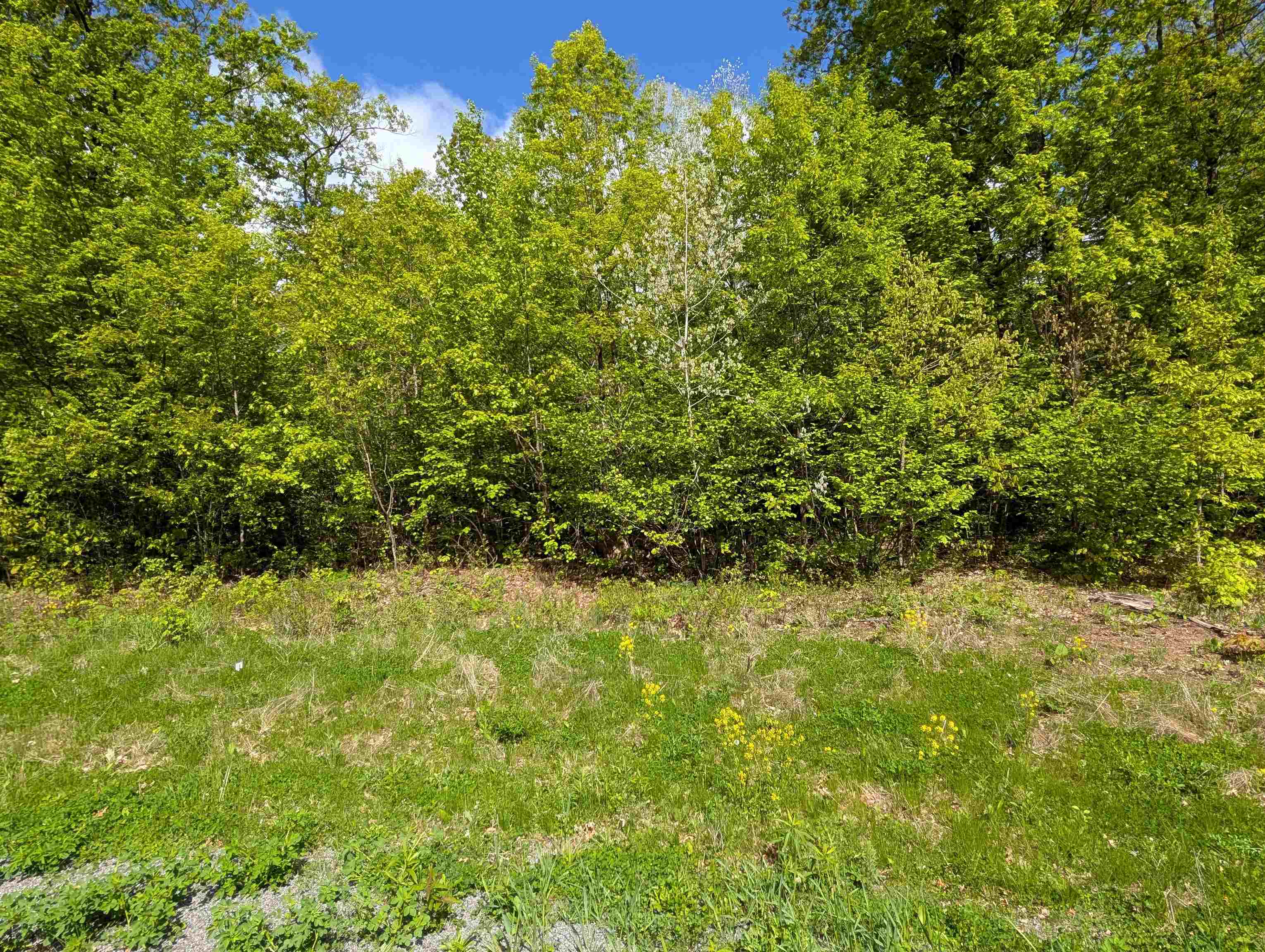Lot 8 ACORN RIDGE ESTATES SUBDIVISION, Mosinee, Wisconsin 54455, ,Land,For Sale,Lot 8 ACORN RIDGE ESTATES SUBDIVISION,22502099