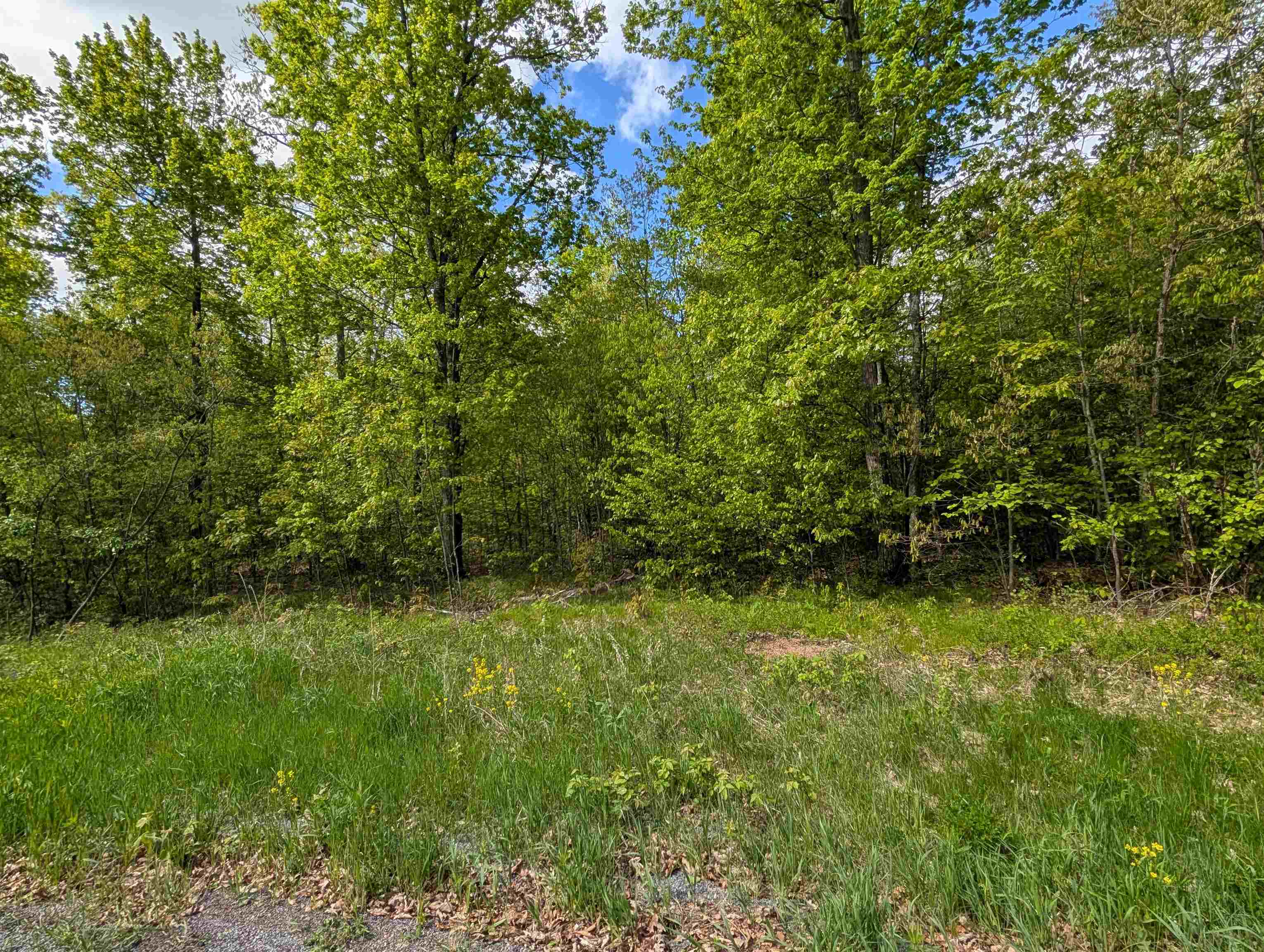Lot 9 ACORN RIDGE ESTATES SUBDIVISION, Mosinee, Wisconsin 54455, ,Land,For Sale,Lot 9 ACORN RIDGE ESTATES SUBDIVISION,22502101