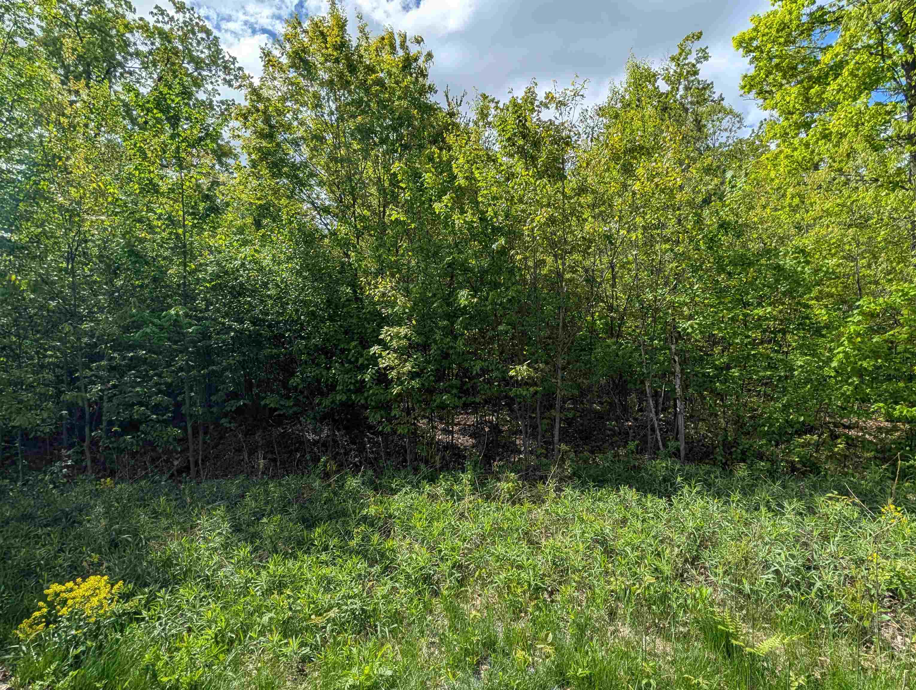 Lot 10 ACORN RIDGE ESTATES SUBDIVISION, Mosinee, Wisconsin 54455, ,Land,For Sale,Lot 10 ACORN RIDGE ESTATES SUBDIVISION,22502102