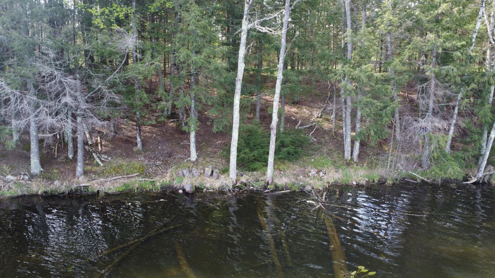 LOT 18 WISTFUL VISTA ROAD, White Lake, Wisconsin 54491, ,Land,For Sale,LOT 18 WISTFUL VISTA ROAD,22502103