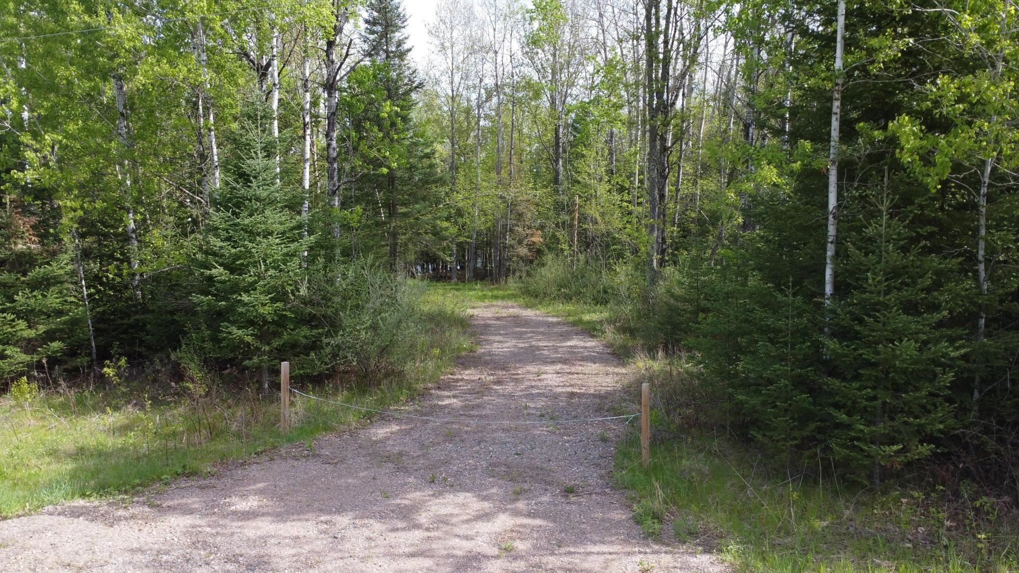 LOT 19 WISTFUL VISTA ROAD, White Lake, Wisconsin 54491, ,Land,For Sale,LOT 19 WISTFUL VISTA ROAD,22502106