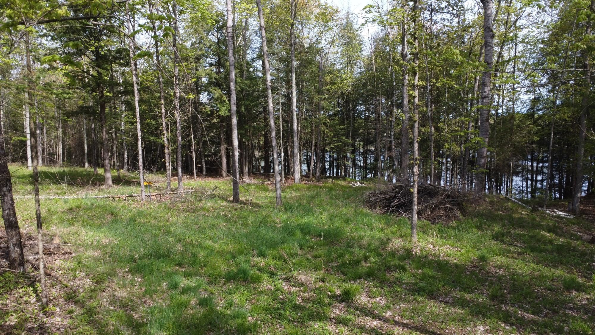 LOT 19 WISTFUL VISTA ROAD, White Lake, Wisconsin 54491, ,Land,For Sale,LOT 19 WISTFUL VISTA ROAD,22502106