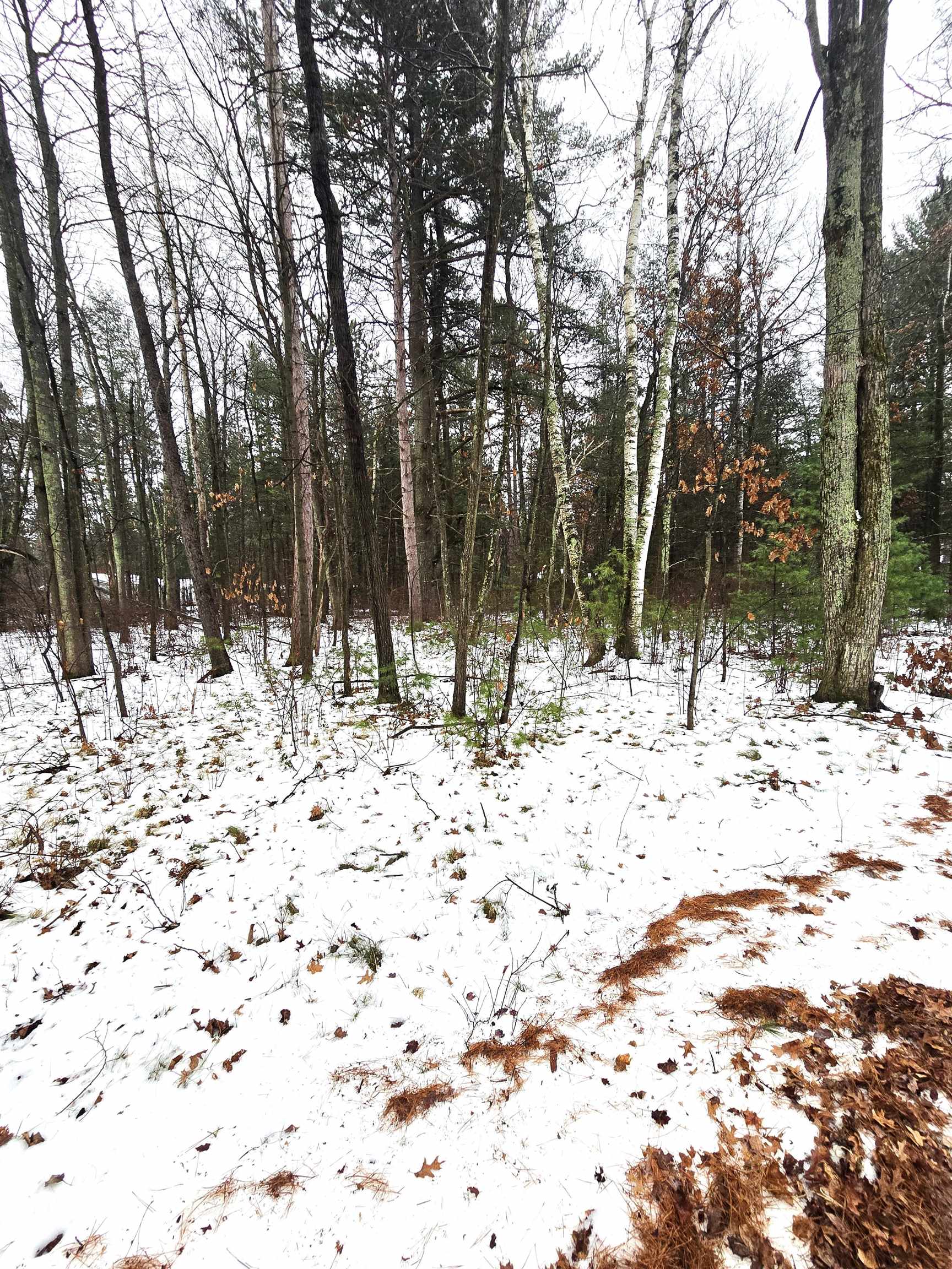Lots 2 & 3 KAUFMAN ROAD, Tomahawk, Wisconsin 54487, ,Land,For Sale,Lots 2 & 3 KAUFMAN ROAD,22502118