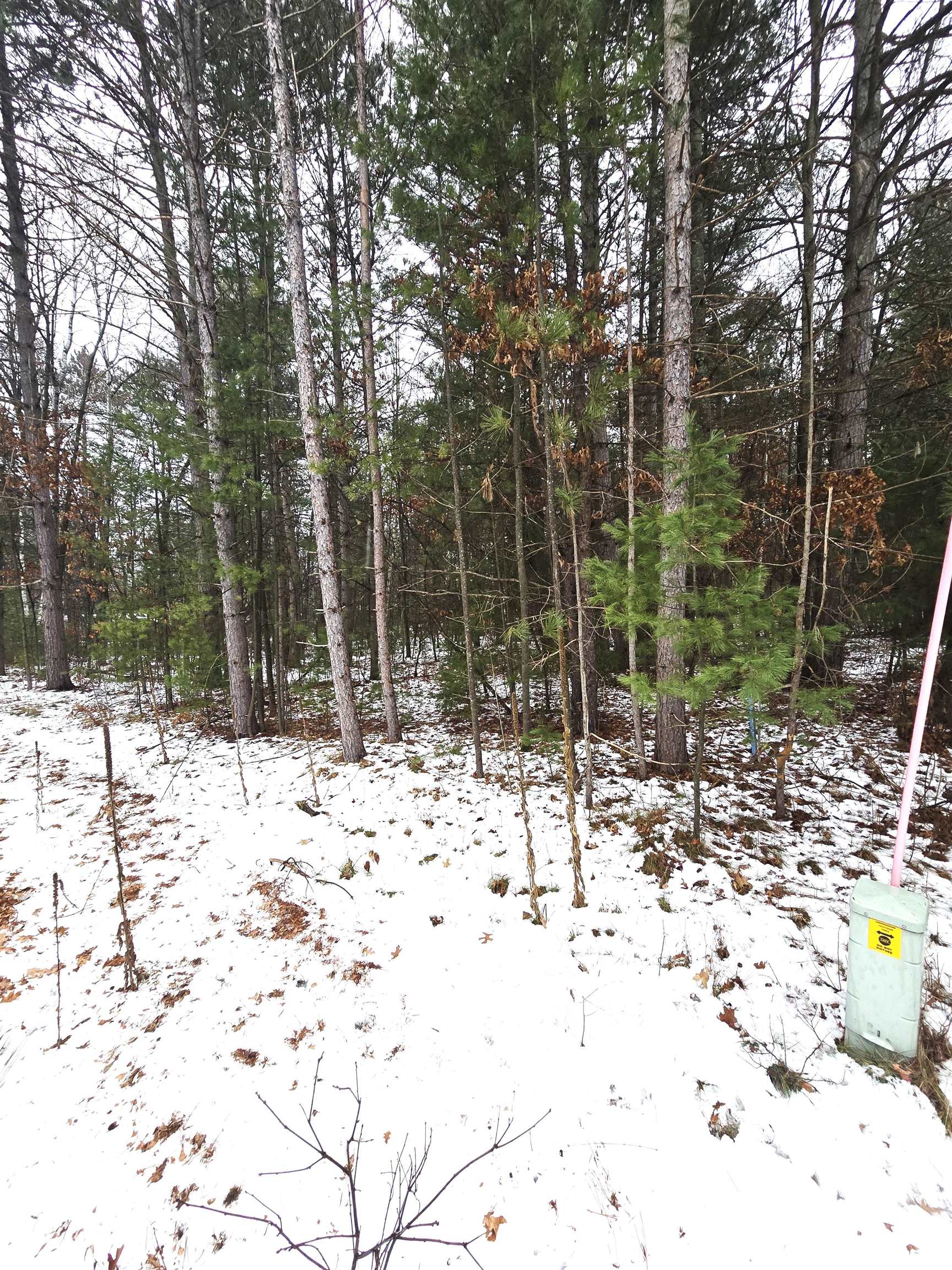 Lots 2 & 3 KAUFMAN ROAD, Tomahawk, Wisconsin 54487, ,Land,For Sale,Lots 2 & 3 KAUFMAN ROAD,22502118