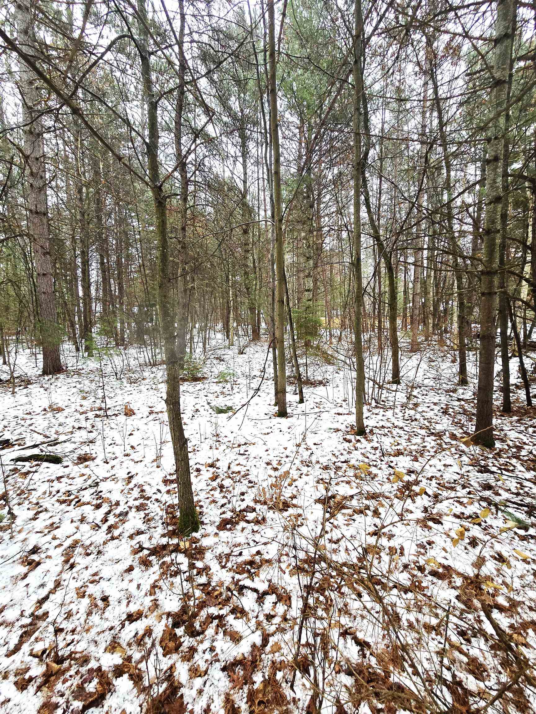 Lots 2 & 3 KAUFMAN ROAD, Tomahawk, Wisconsin 54487, ,Land,For Sale,Lots 2 & 3 KAUFMAN ROAD,22502118