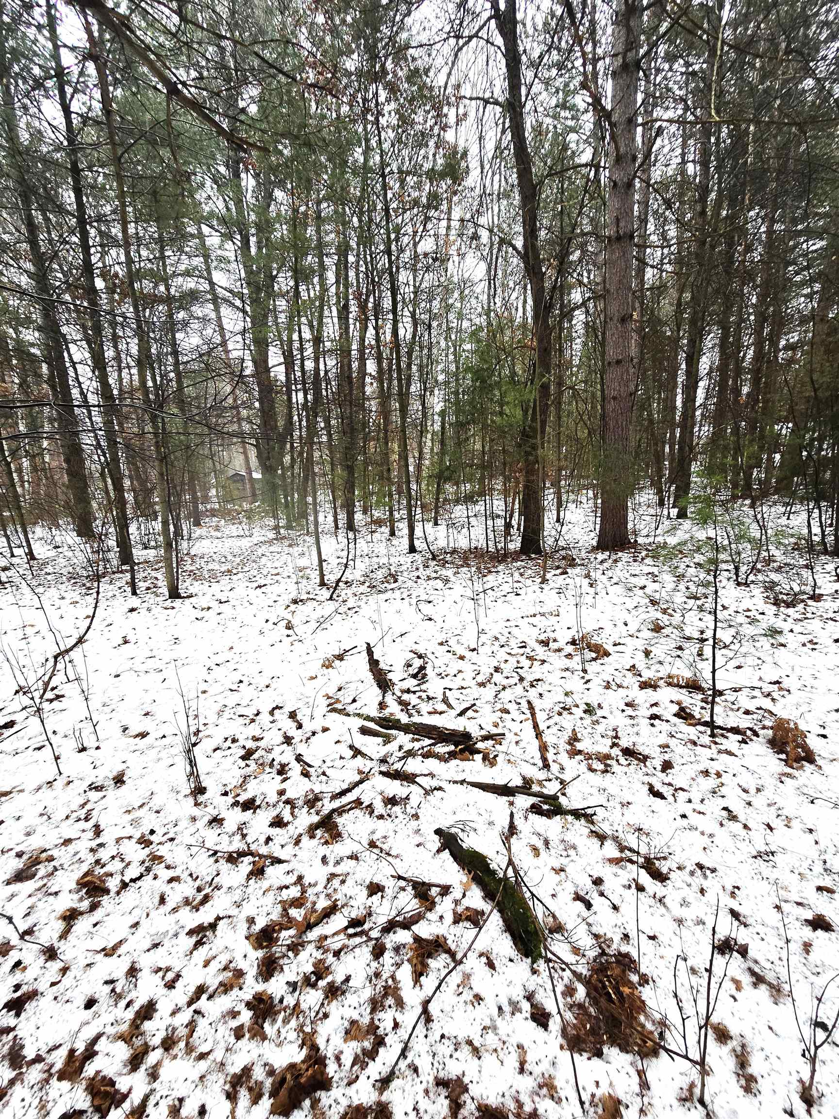 Lots 2 & 3 KAUFMAN ROAD, Tomahawk, Wisconsin 54487, ,Land,For Sale,Lots 2 & 3 KAUFMAN ROAD,22502118