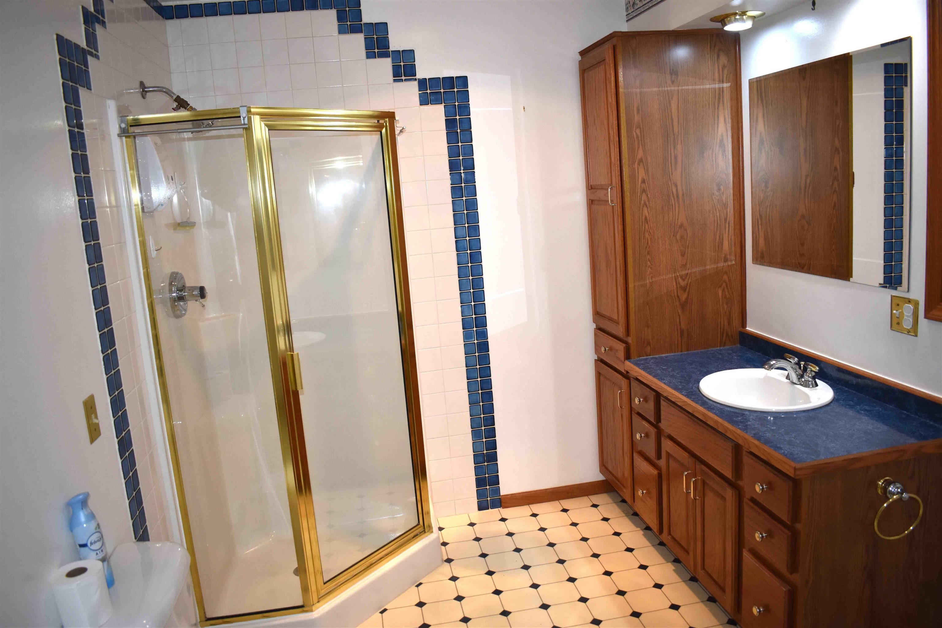 1452 11TH AVENUE, Friendship, Wisconsin 53934, 3 Bedrooms Bedrooms, ,2 BathroomsBathrooms,Residential,For Sale,1452 11TH AVENUE,22502130