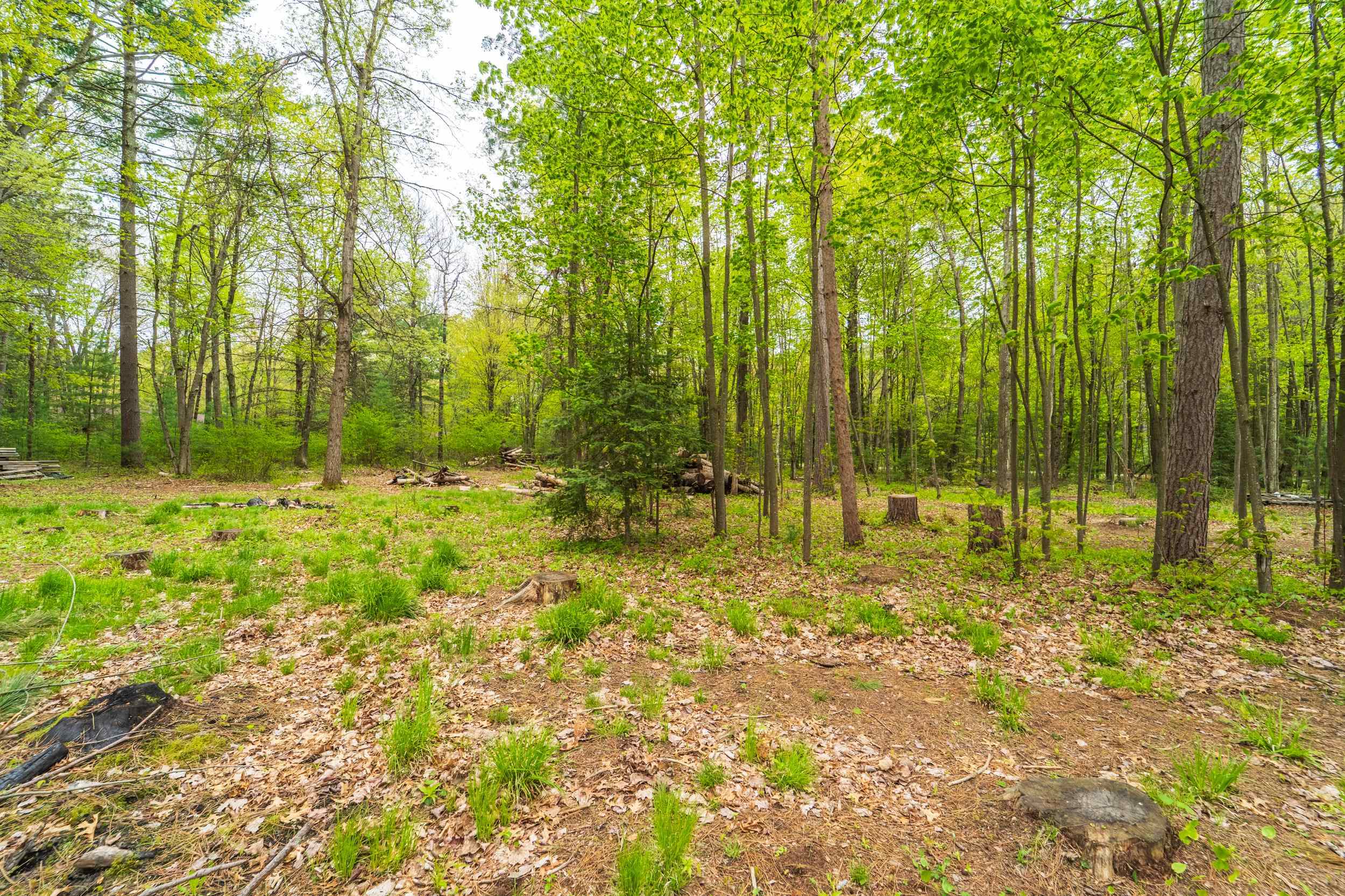 Lot 7 & 8 WOODLAND DRIVE, Tomahawk, Wisconsin 54487, ,Land,For Sale,Lot 7 & 8 WOODLAND DRIVE,22502142
