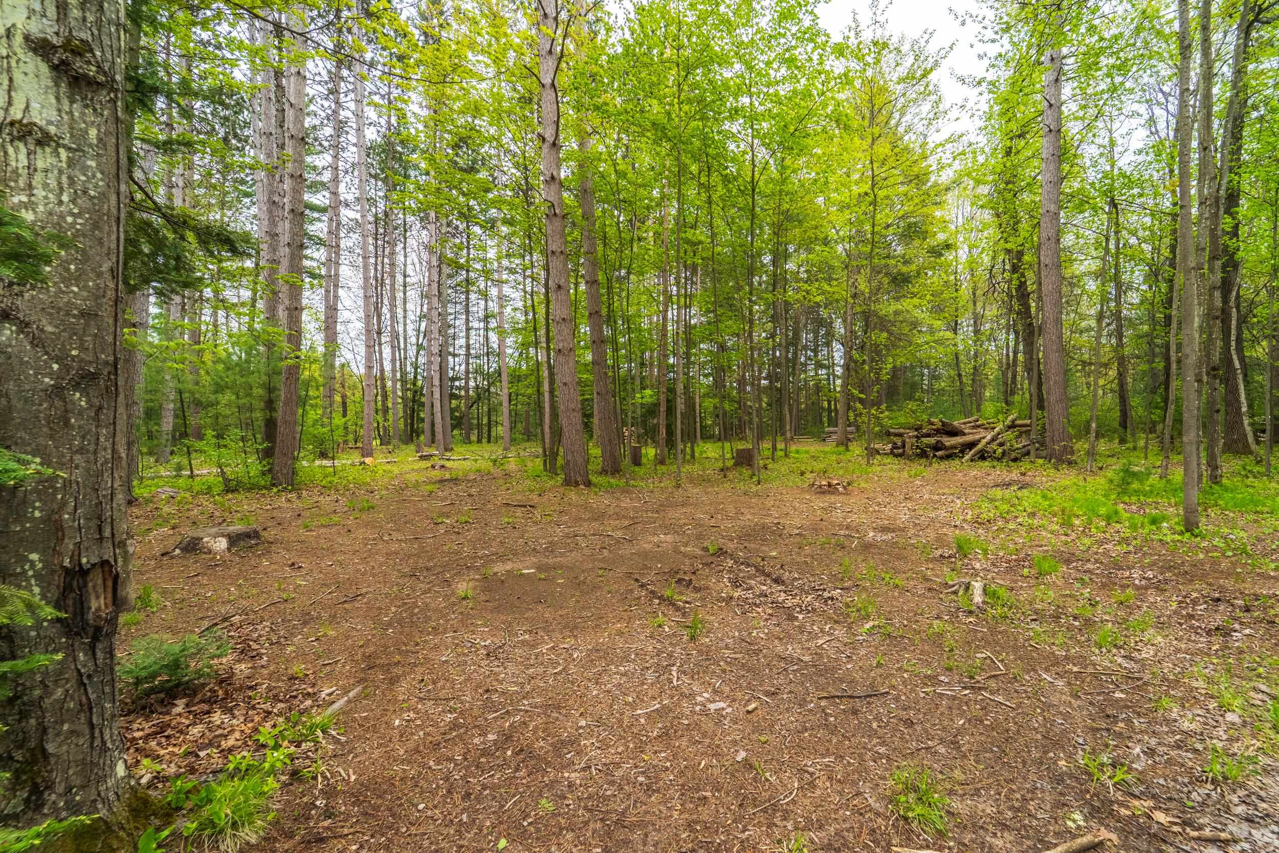 Lot 7 & 8 WOODLAND DRIVE, Tomahawk, Wisconsin 54487, ,Land,For Sale,Lot 7 & 8 WOODLAND DRIVE,22502142