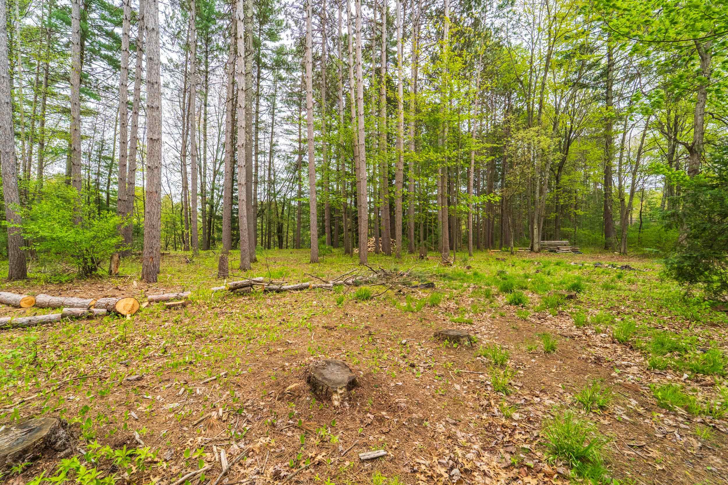 Lot 7 & 8 WOODLAND DRIVE, Tomahawk, Wisconsin 54487, ,Land,For Sale,Lot 7 & 8 WOODLAND DRIVE,22502142