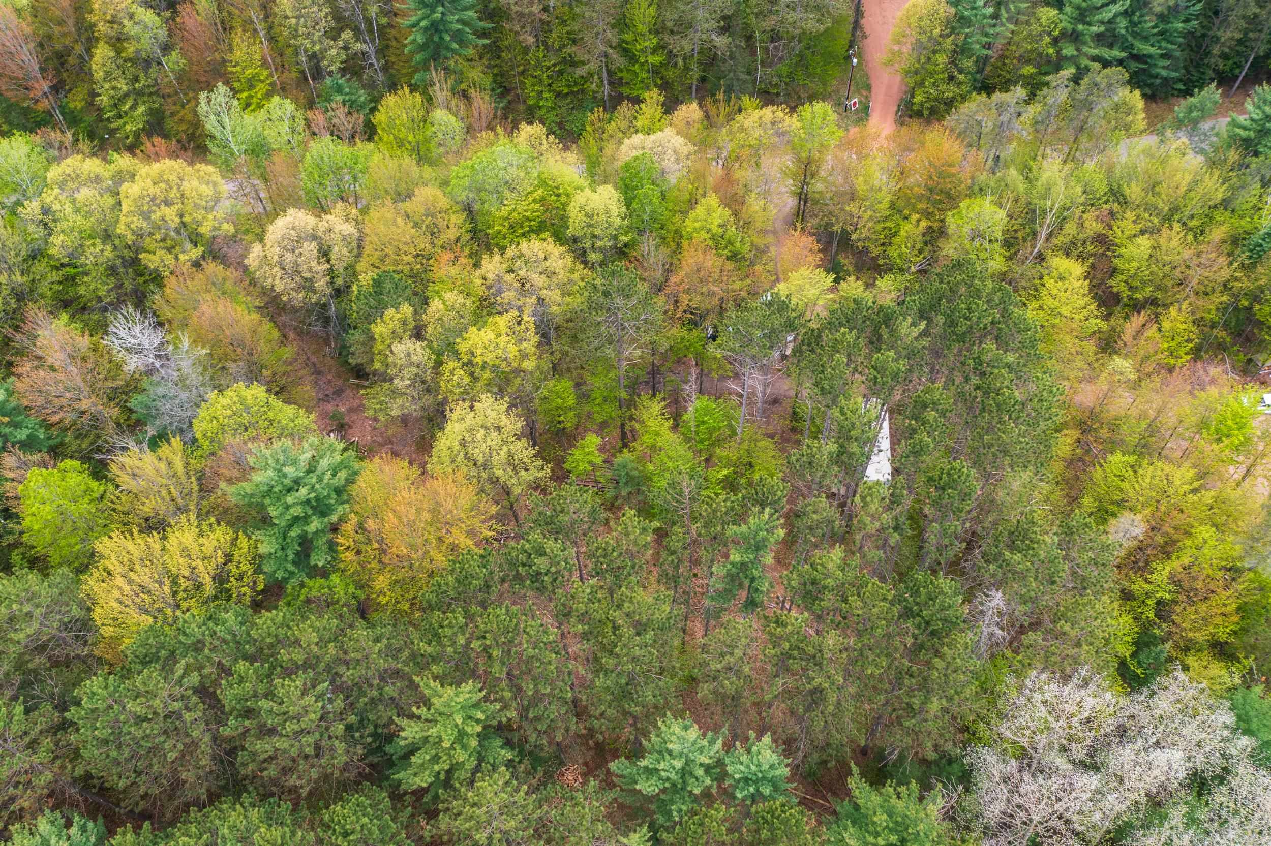 Lot 6 WOODLAND DRIVE, Tomahawk, Wisconsin 54487, ,Land,For Sale,Lot 6 WOODLAND DRIVE,22502144