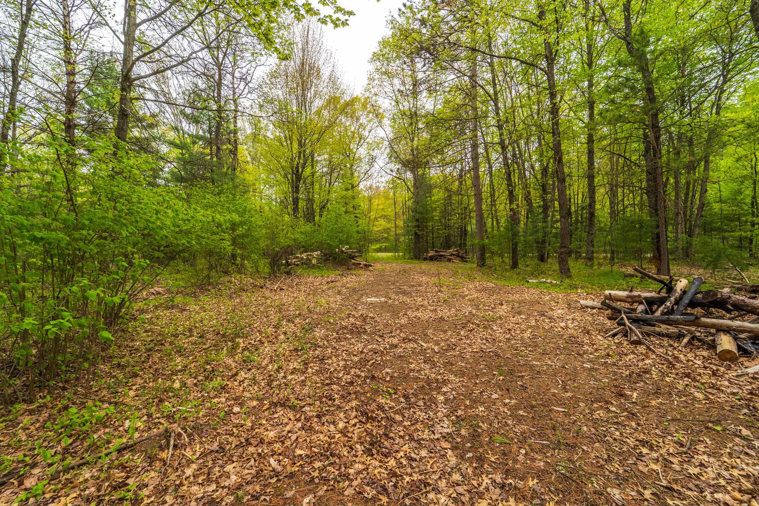 Lot 6 WOODLAND DRIVE, Tomahawk, Wisconsin 54487, ,Land,For Sale,Lot 6 WOODLAND DRIVE,22502144