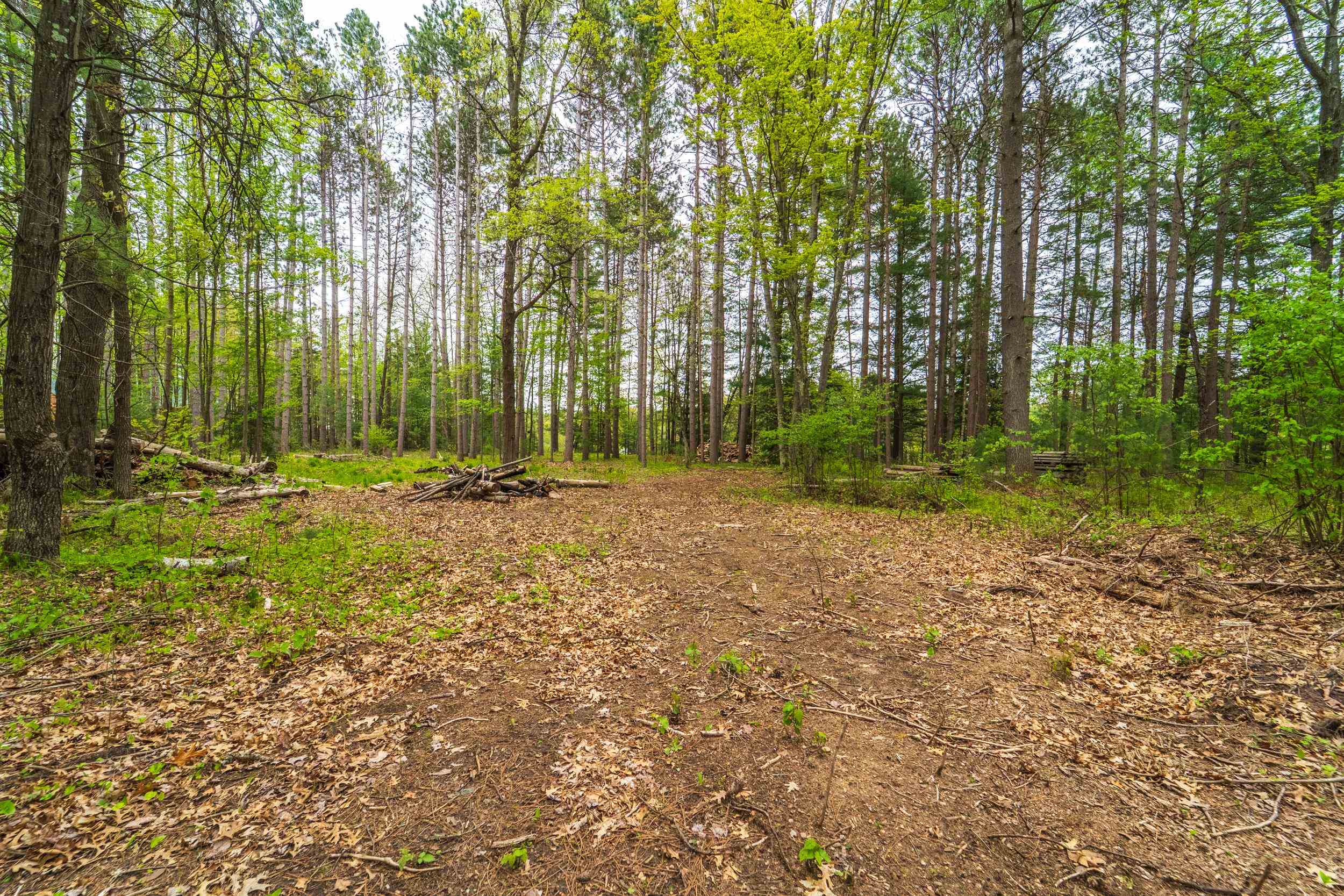 Lot 6 WOODLAND DRIVE, Tomahawk, Wisconsin 54487, ,Land,For Sale,Lot 6 WOODLAND DRIVE,22502144