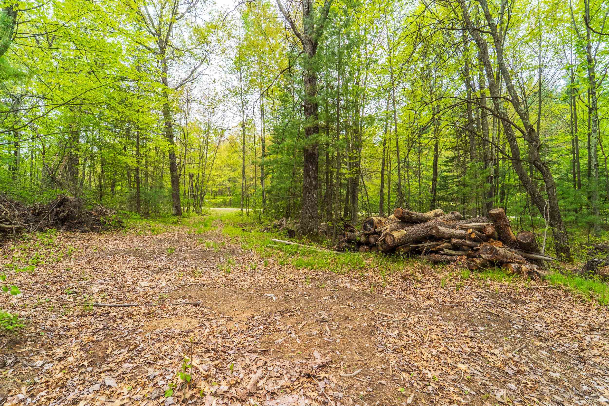 Lot 6 WOODLAND DRIVE, Tomahawk, Wisconsin 54487, ,Land,For Sale,Lot 6 WOODLAND DRIVE,22502144