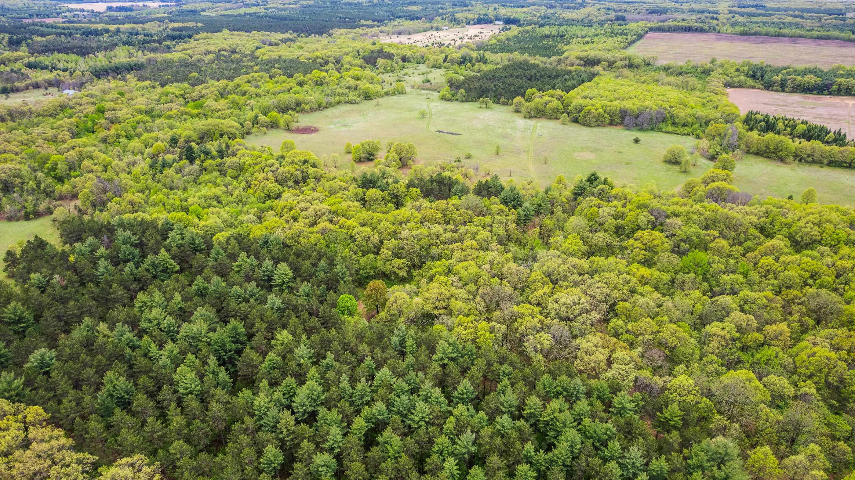 N4723 STATE HIGHWAY 73, Wautoma, Wisconsin 54982, ,Land,For Sale,N4723 STATE HIGHWAY 73,22502172