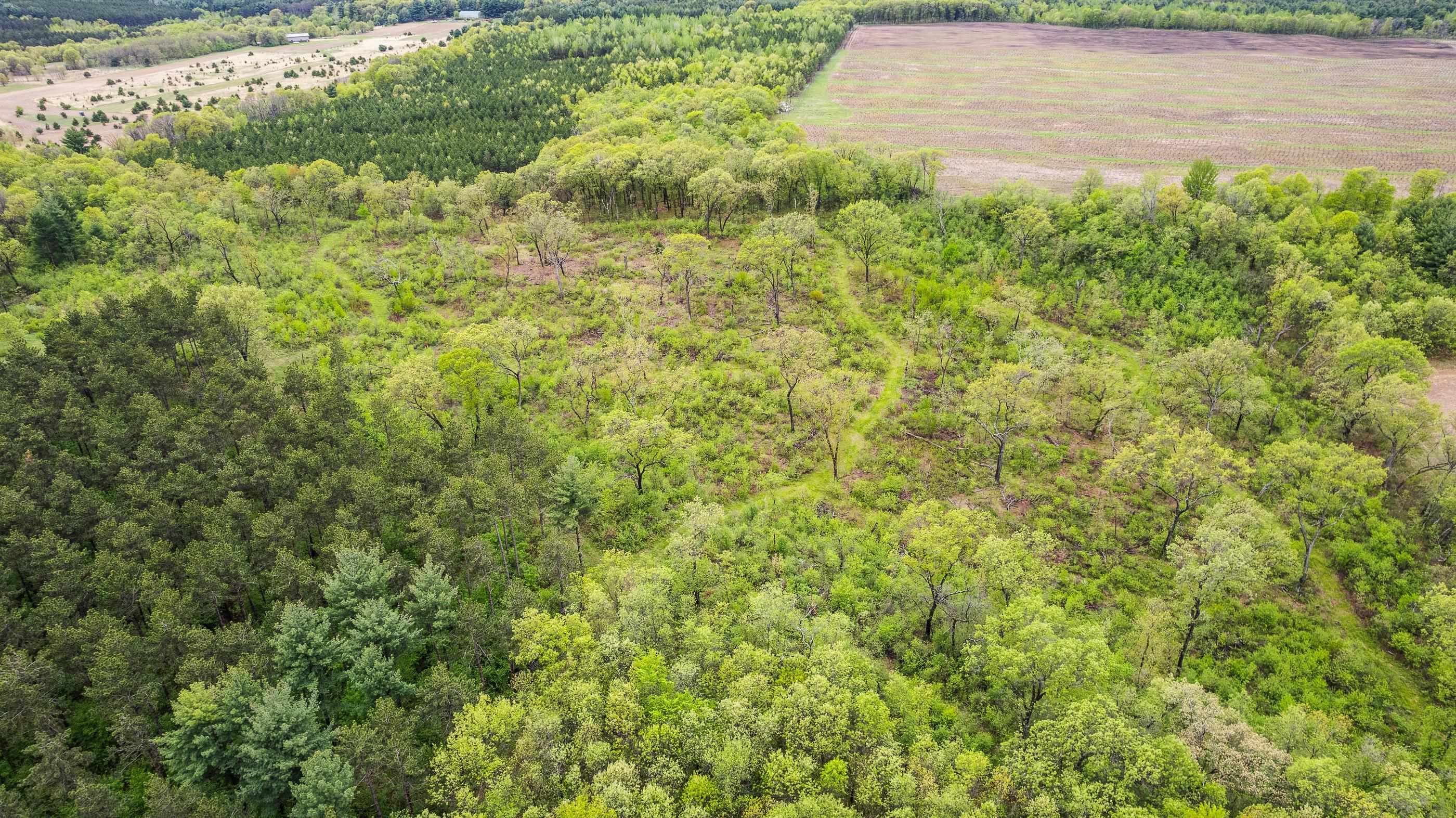 N4723 STATE HIGHWAY 73, Wautoma, Wisconsin 54982, ,Land,For Sale,N4723 STATE HIGHWAY 73,22502172