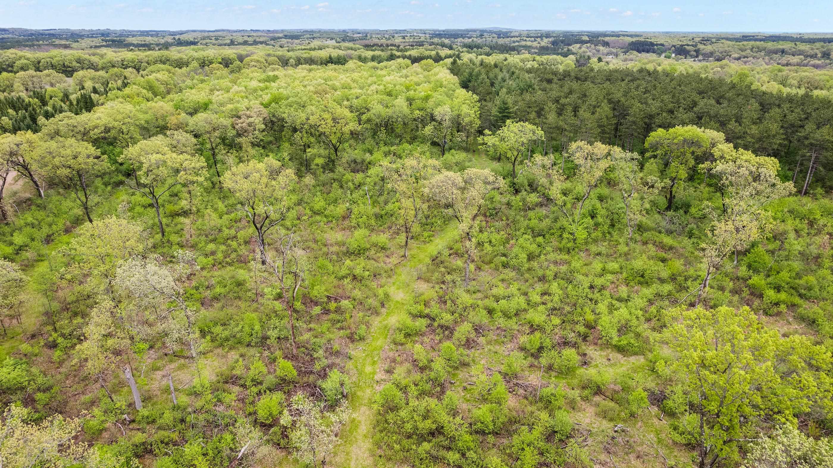 N4723 STATE HIGHWAY 73, Wautoma, Wisconsin 54982, ,Land,For Sale,N4723 STATE HIGHWAY 73,22502172