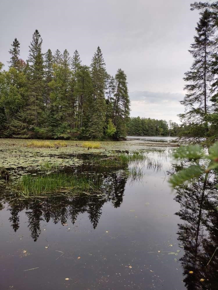 0.56 Acres W KILLARNEY DRIVE, Tomahawk, Wisconsin 54487, ,Land,For Sale,0.56 Acres W KILLARNEY DRIVE,22502207