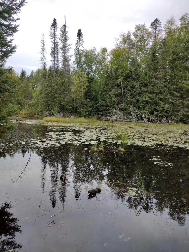 0.56 Acres W KILLARNEY DRIVE, Tomahawk, Wisconsin 54487, ,Land,For Sale,0.56 Acres W KILLARNEY DRIVE,22502207