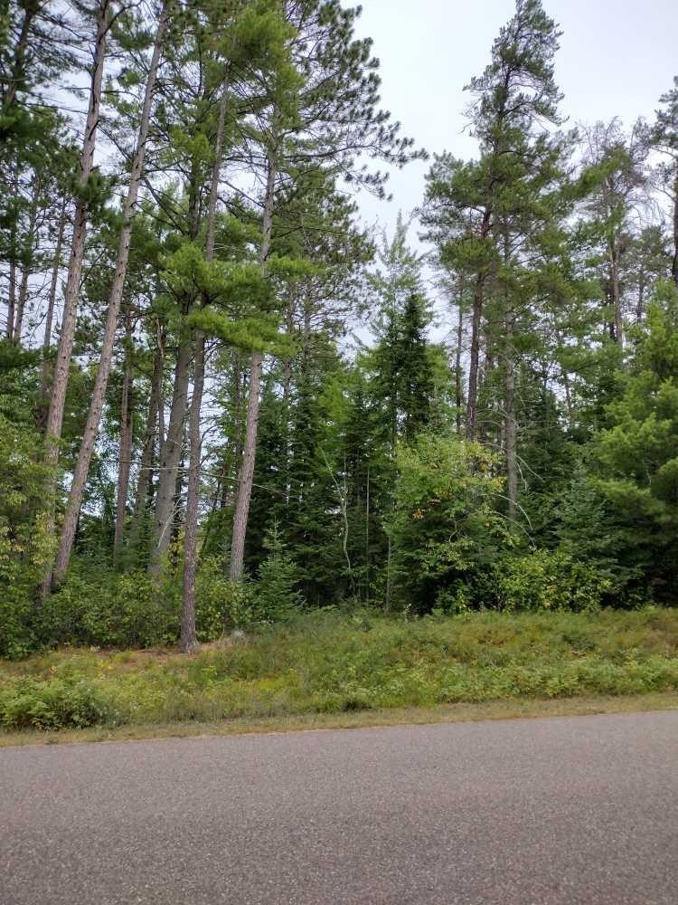 0.56 Acres W KILLARNEY DRIVE, Tomahawk, Wisconsin 54487, ,Land,For Sale,0.56 Acres W KILLARNEY DRIVE,22502207