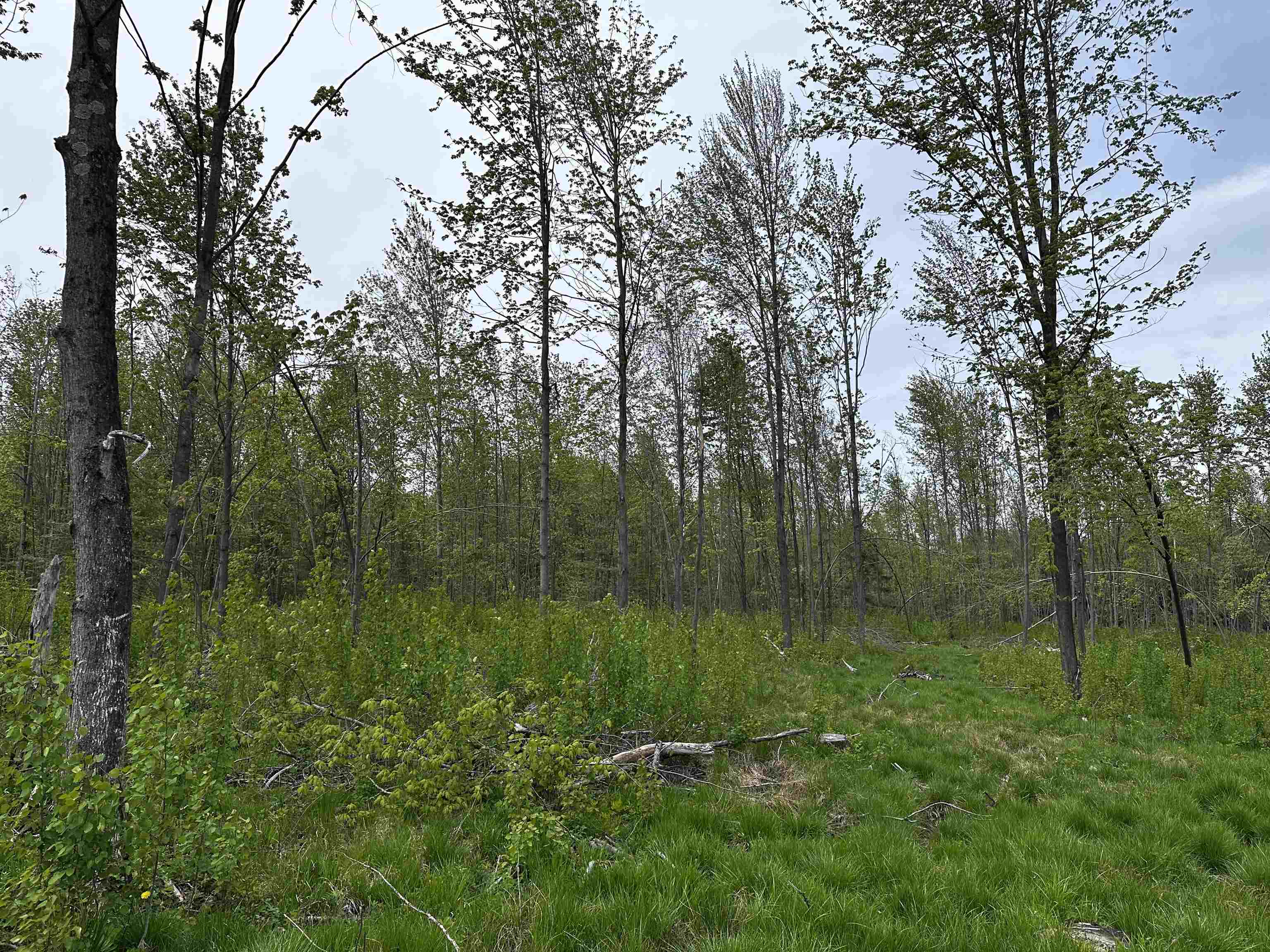01 GRANITE ROAD, Wausau, Wisconsin 54403, ,Land,For Sale,01 GRANITE ROAD,22502223