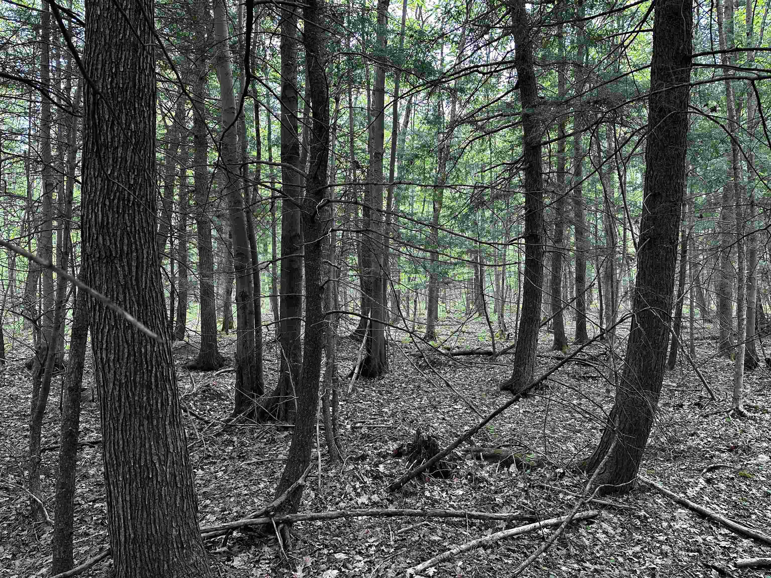 01 GRANITE ROAD, Wausau, Wisconsin 54403, ,Land,For Sale,01 GRANITE ROAD,22502223