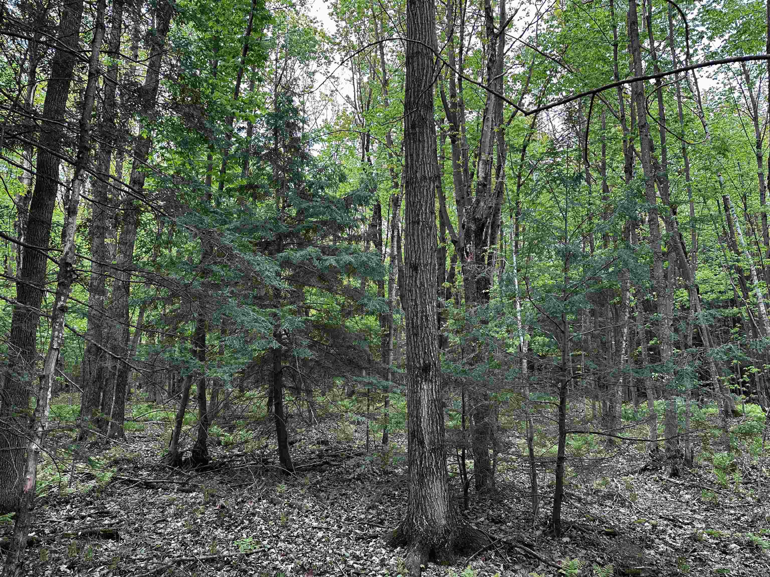 01 GRANITE ROAD, Wausau, Wisconsin 54403, ,Land,For Sale,01 GRANITE ROAD,22502223
