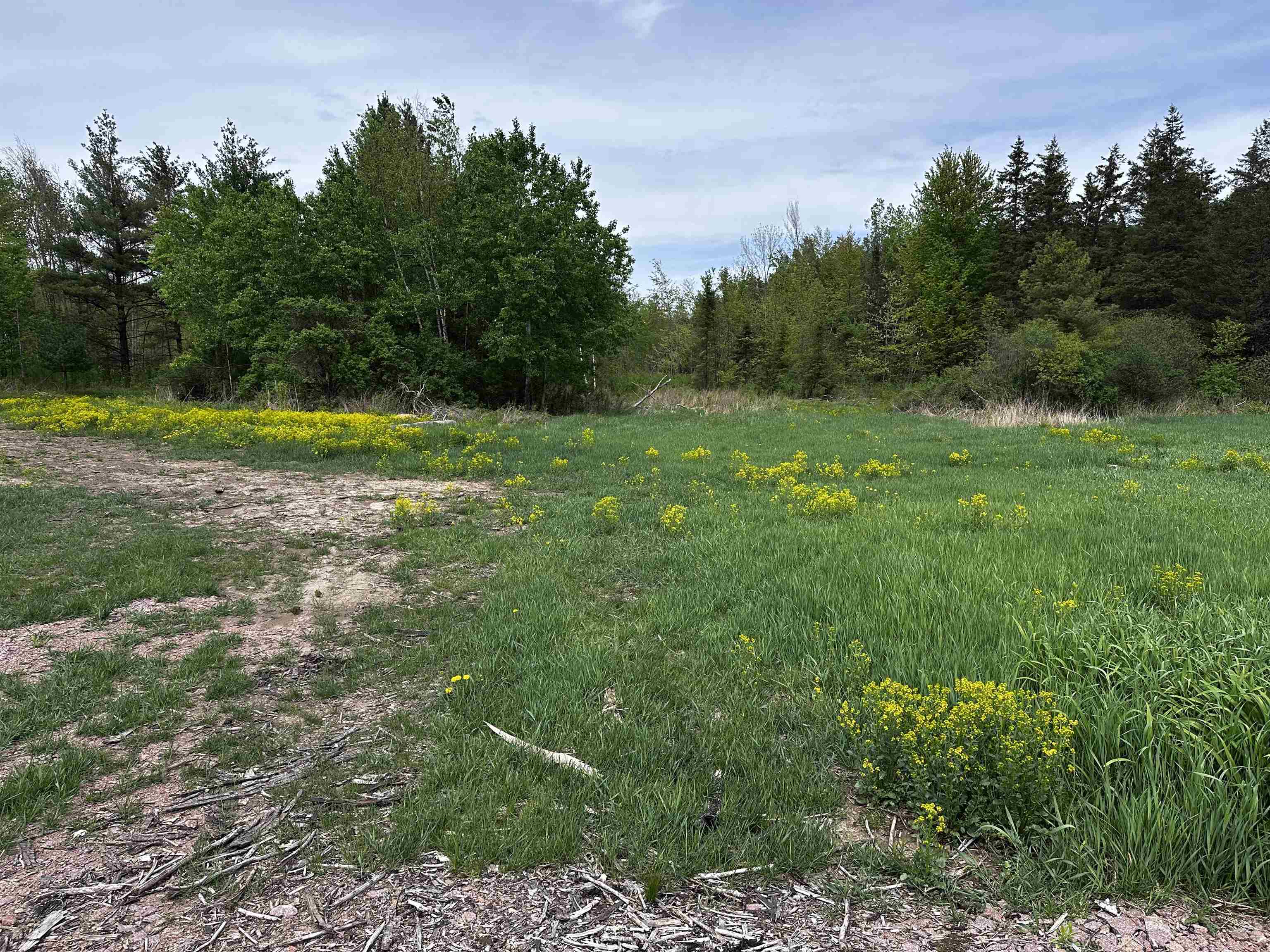 01 GRANITE ROAD, Wausau, Wisconsin 54403, ,Land,For Sale,01 GRANITE ROAD,22502223