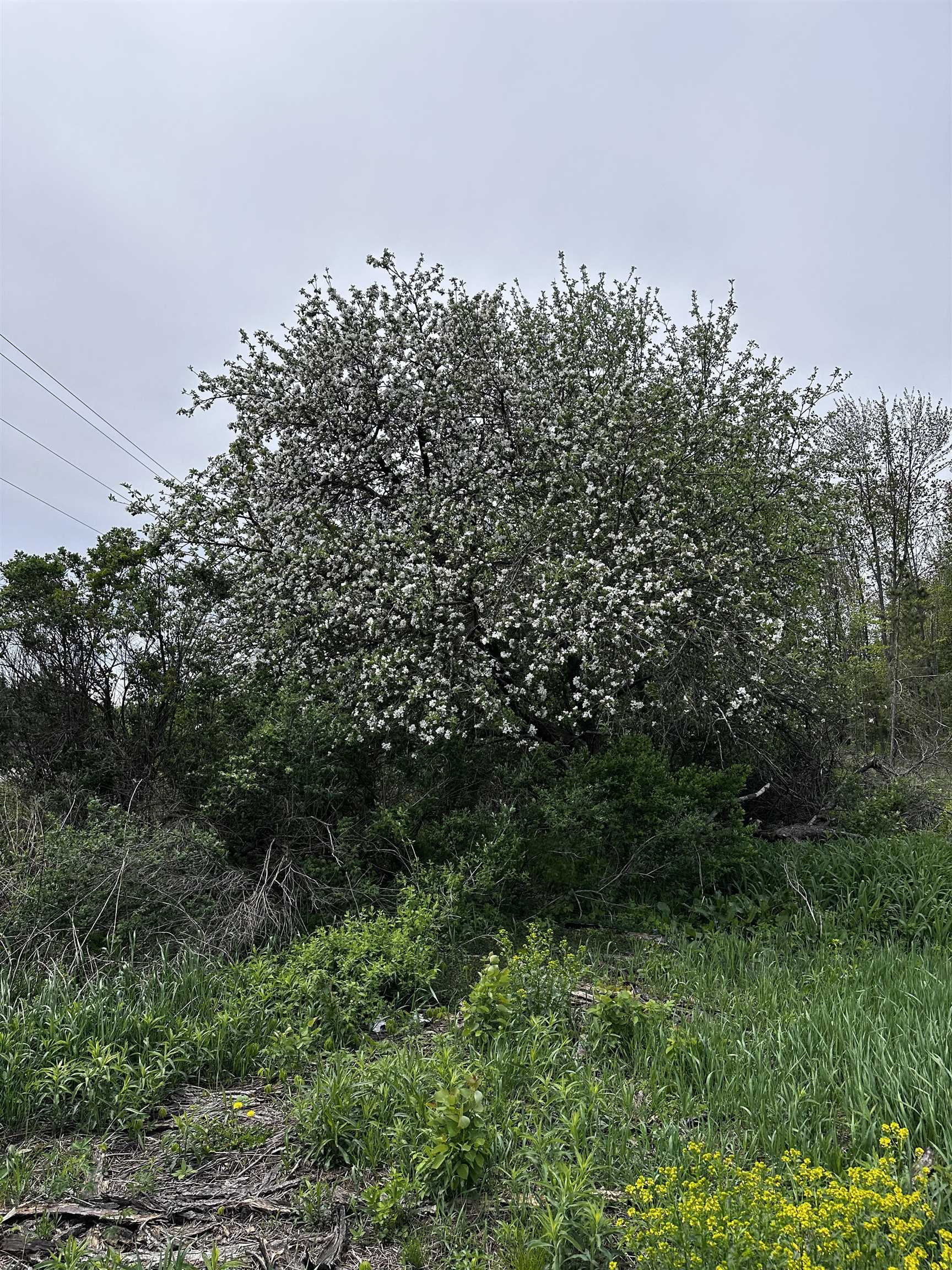 01 GRANITE ROAD, Wausau, Wisconsin 54403, ,Land,For Sale,01 GRANITE ROAD,22502223