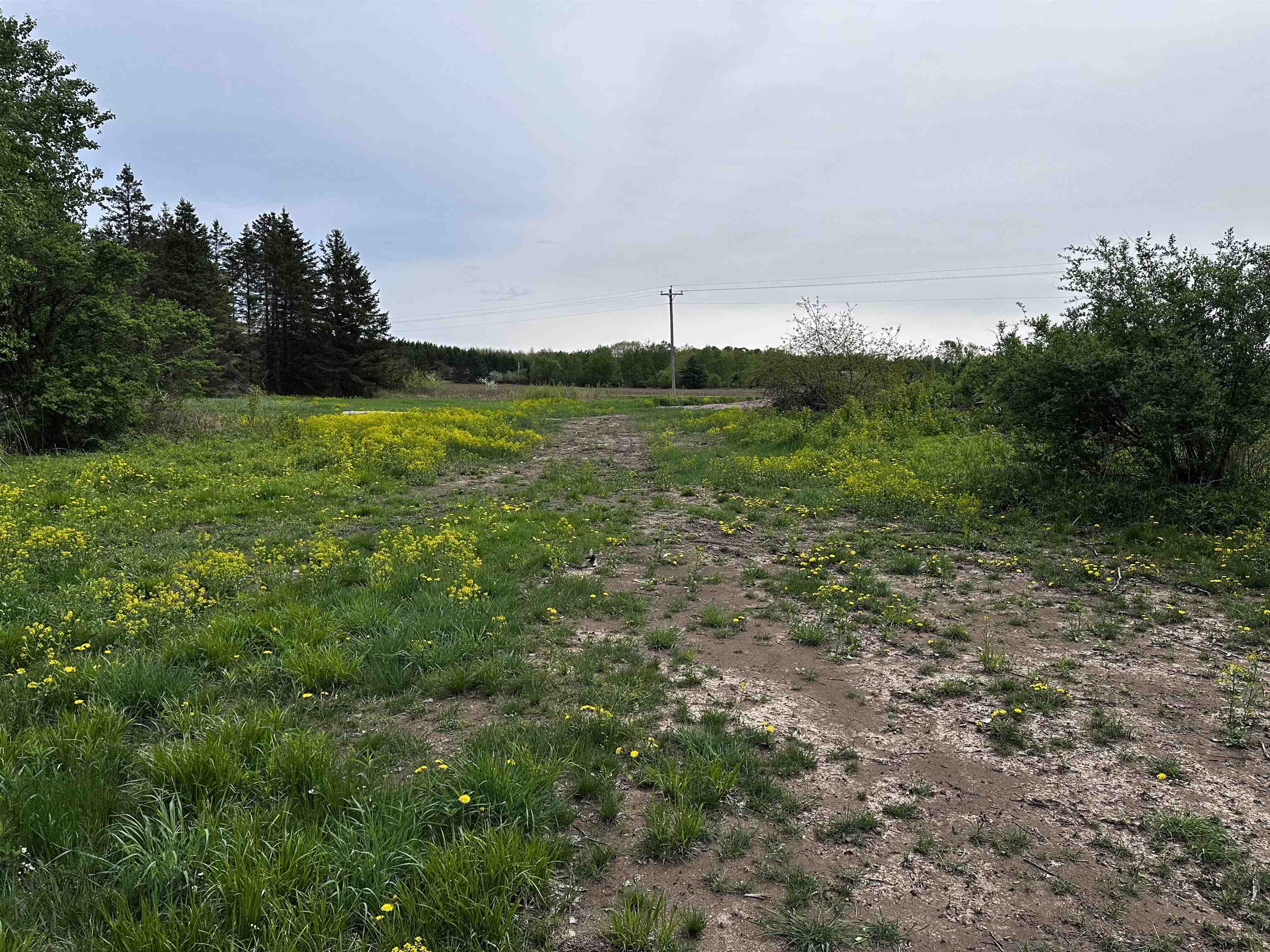 01 GRANITE ROAD, Wausau, Wisconsin 54403, ,Land,For Sale,01 GRANITE ROAD,22502223