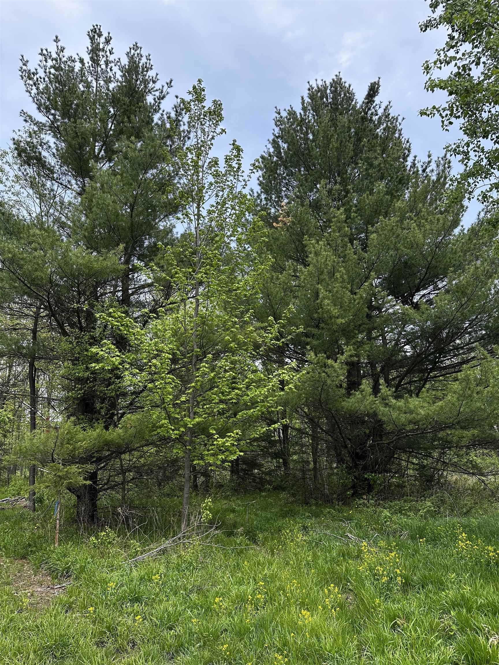 01 GRANITE ROAD, Wausau, Wisconsin 54403, ,Land,For Sale,01 GRANITE ROAD,22502223