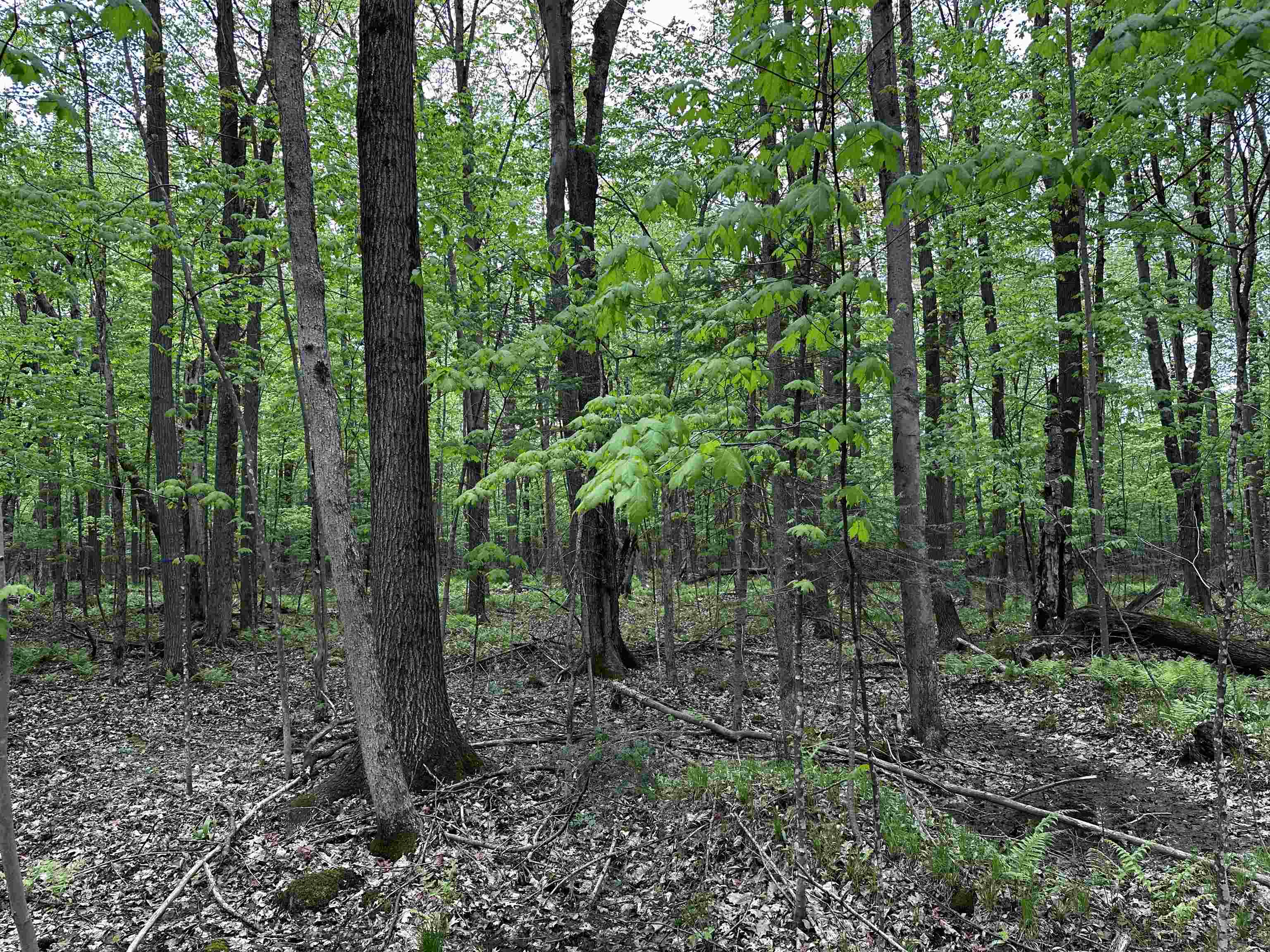 01 GRANITE ROAD, Wausau, Wisconsin 54403, ,Land,For Sale,01 GRANITE ROAD,22502223