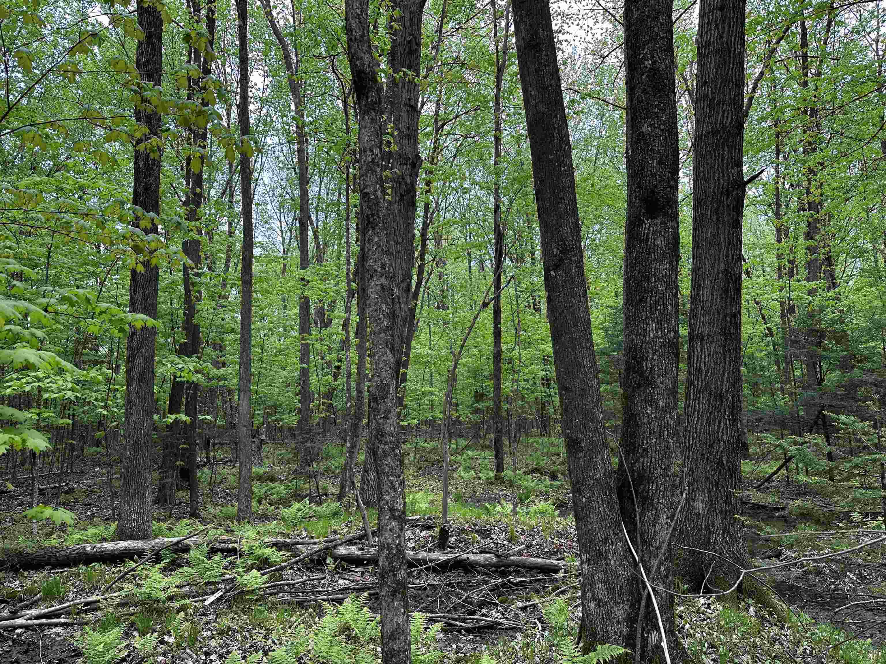 01 GRANITE ROAD, Wausau, Wisconsin 54403, ,Land,For Sale,01 GRANITE ROAD,22502223