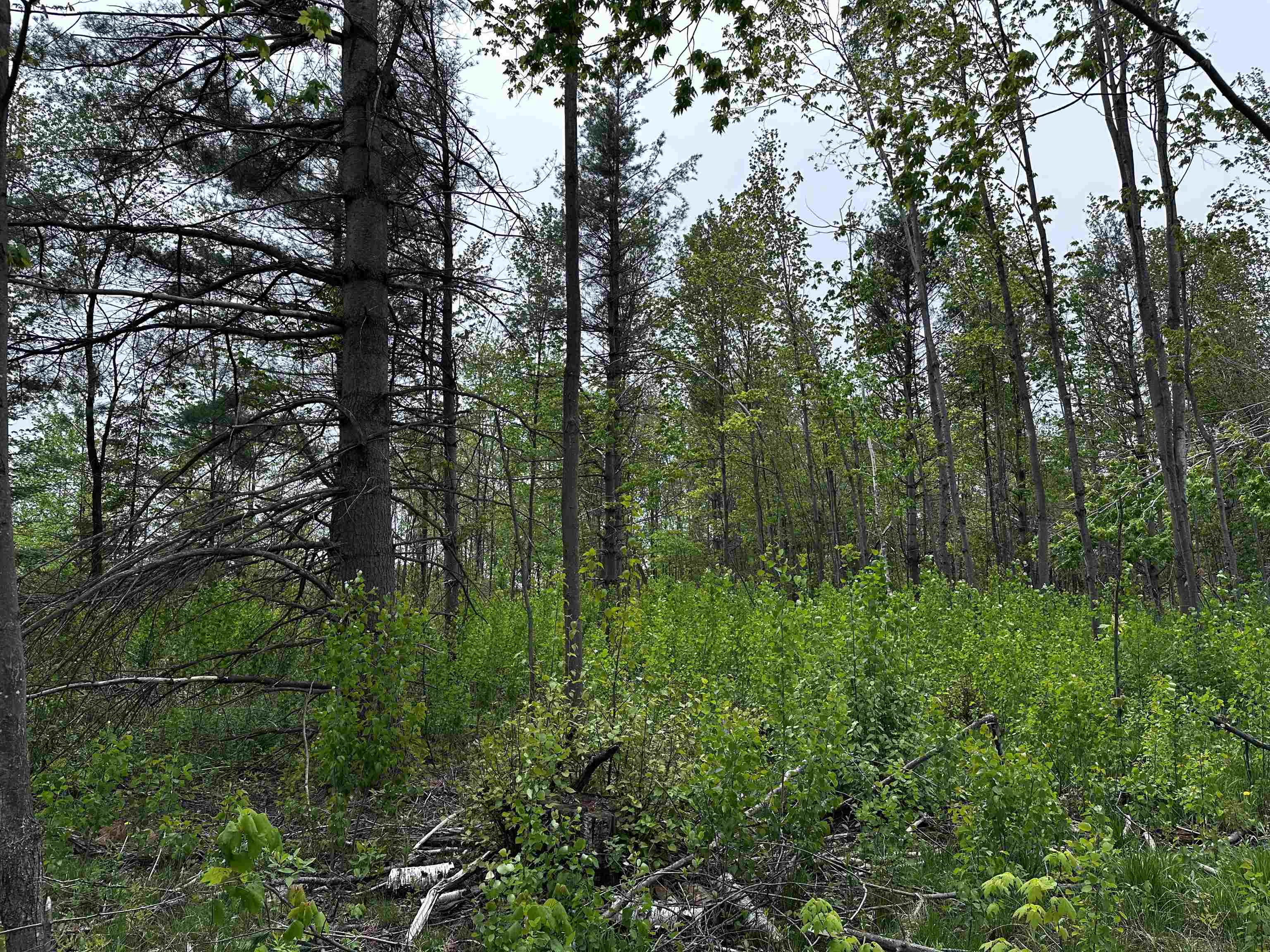 01 GRANITE ROAD, Wausau, Wisconsin 54403, ,Land,For Sale,01 GRANITE ROAD,22502223