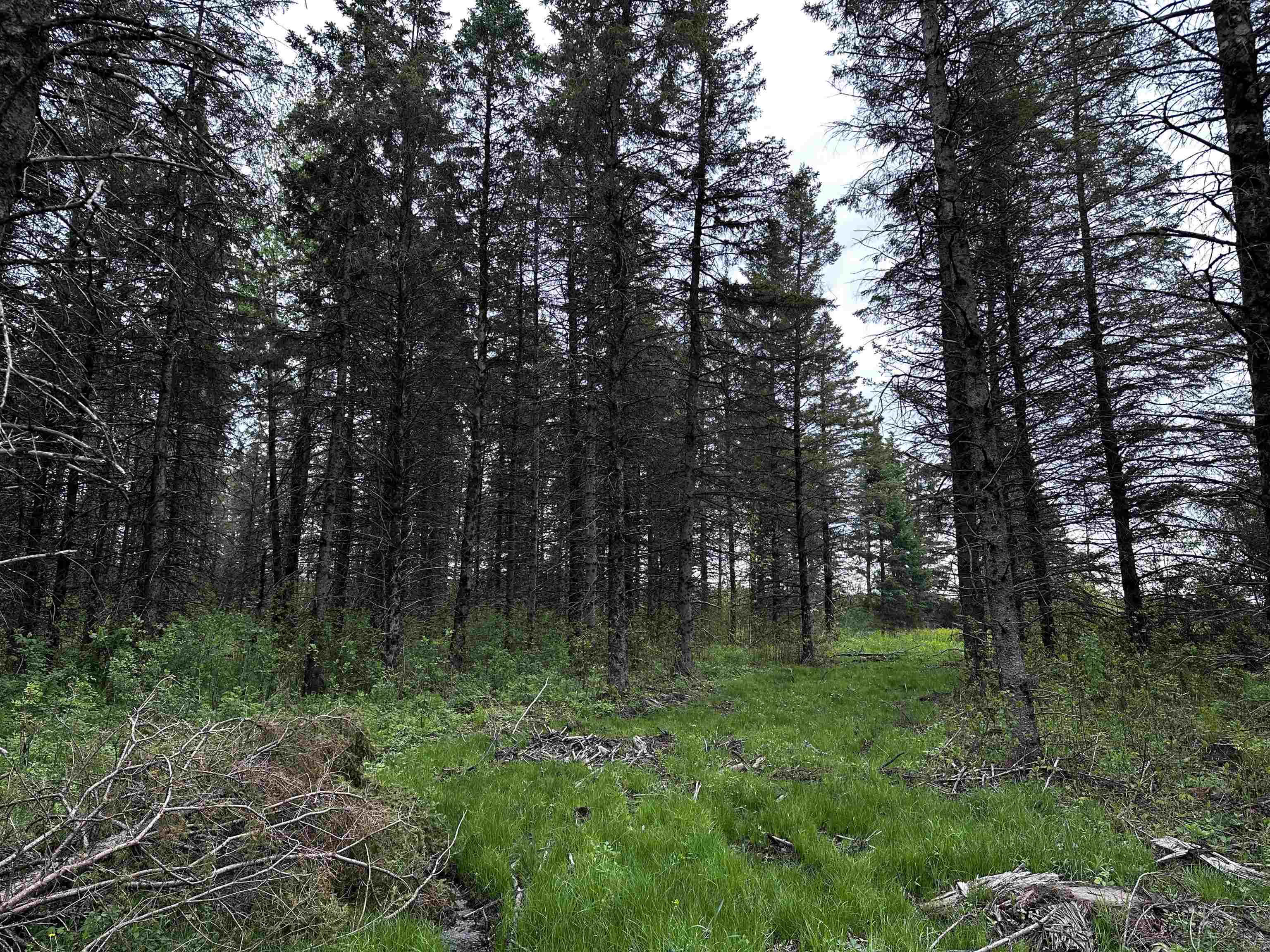 02 GRANITE ROAD, Wausau, Wisconsin 54403, ,Land,For Sale,02 GRANITE ROAD,22502229