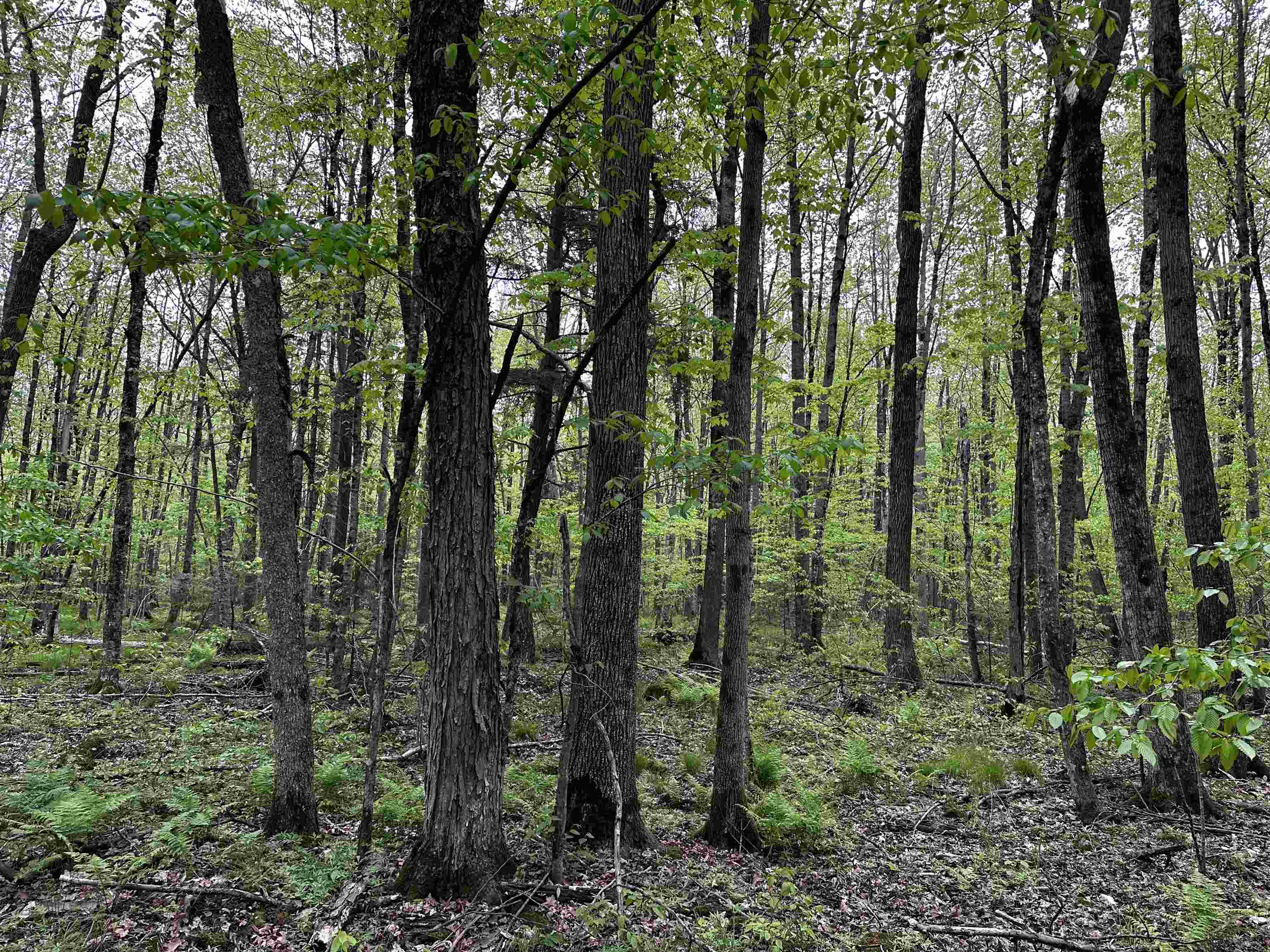 02 GRANITE ROAD, Wausau, Wisconsin 54403, ,Land,For Sale,02 GRANITE ROAD,22502229