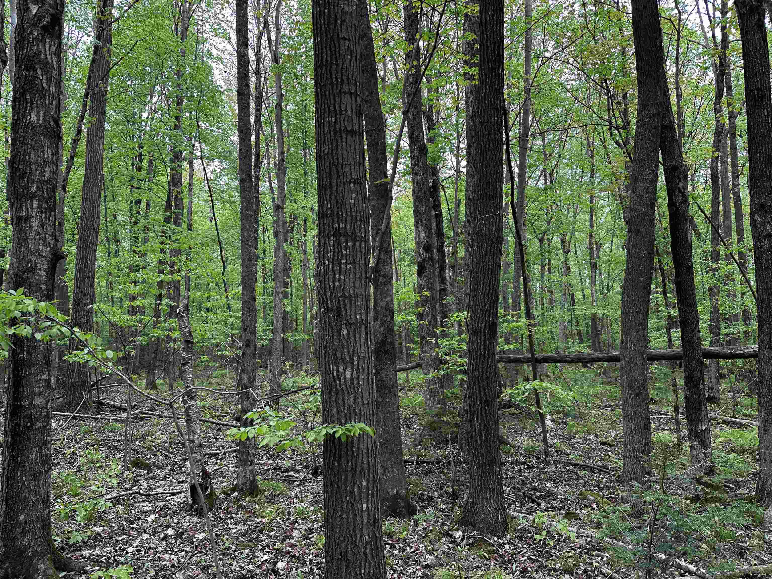 02 GRANITE ROAD, Wausau, Wisconsin 54403, ,Land,For Sale,02 GRANITE ROAD,22502229