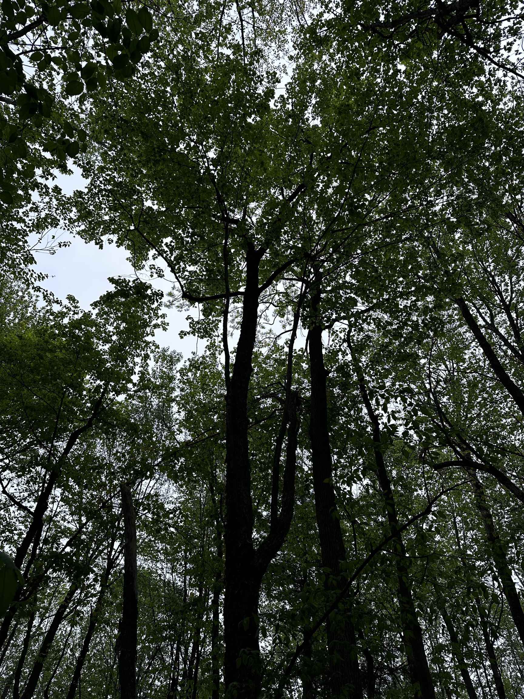02 GRANITE ROAD, Wausau, Wisconsin 54403, ,Land,For Sale,02 GRANITE ROAD,22502229