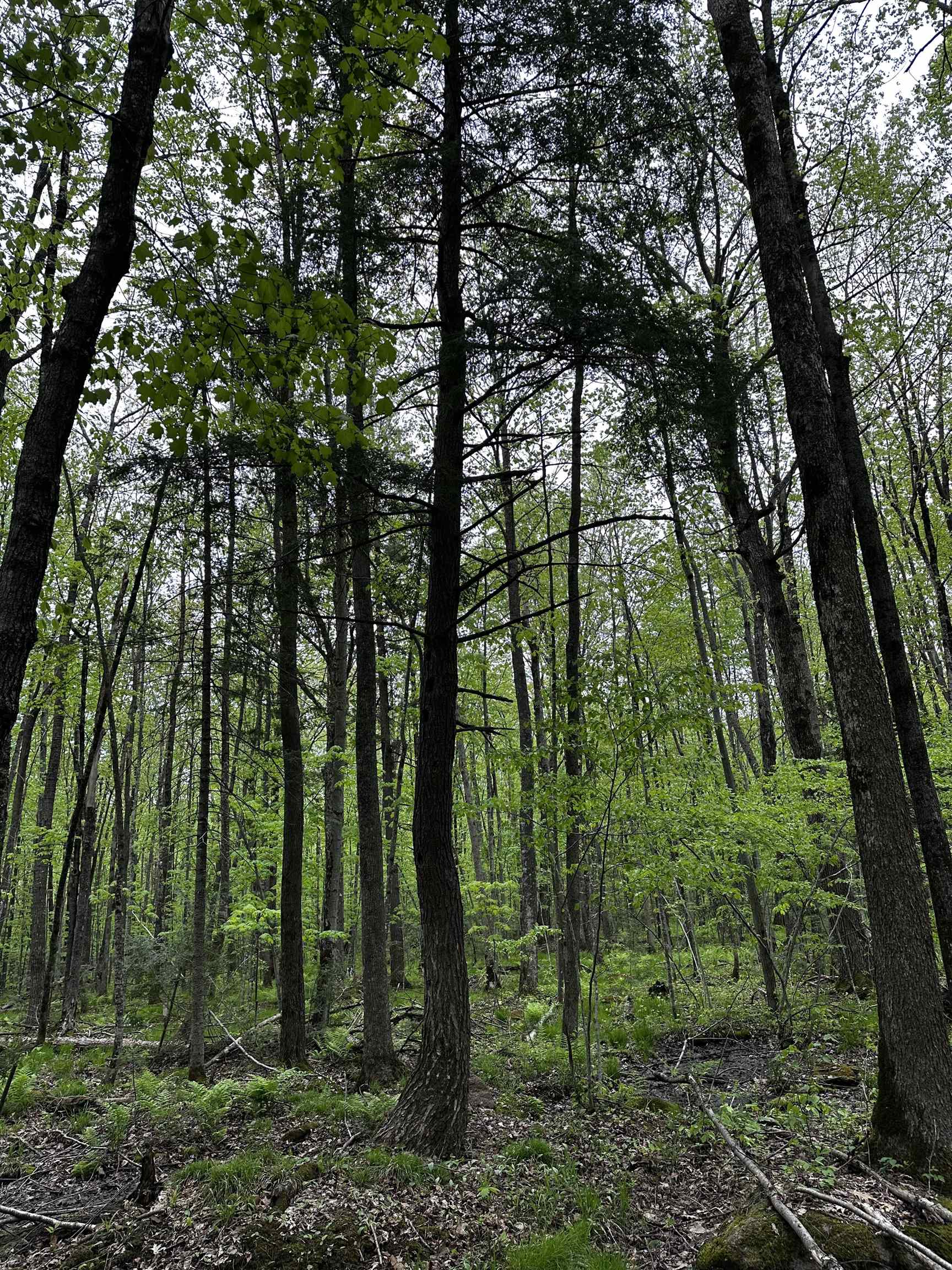 02 GRANITE ROAD, Wausau, Wisconsin 54403, ,Land,For Sale,02 GRANITE ROAD,22502229