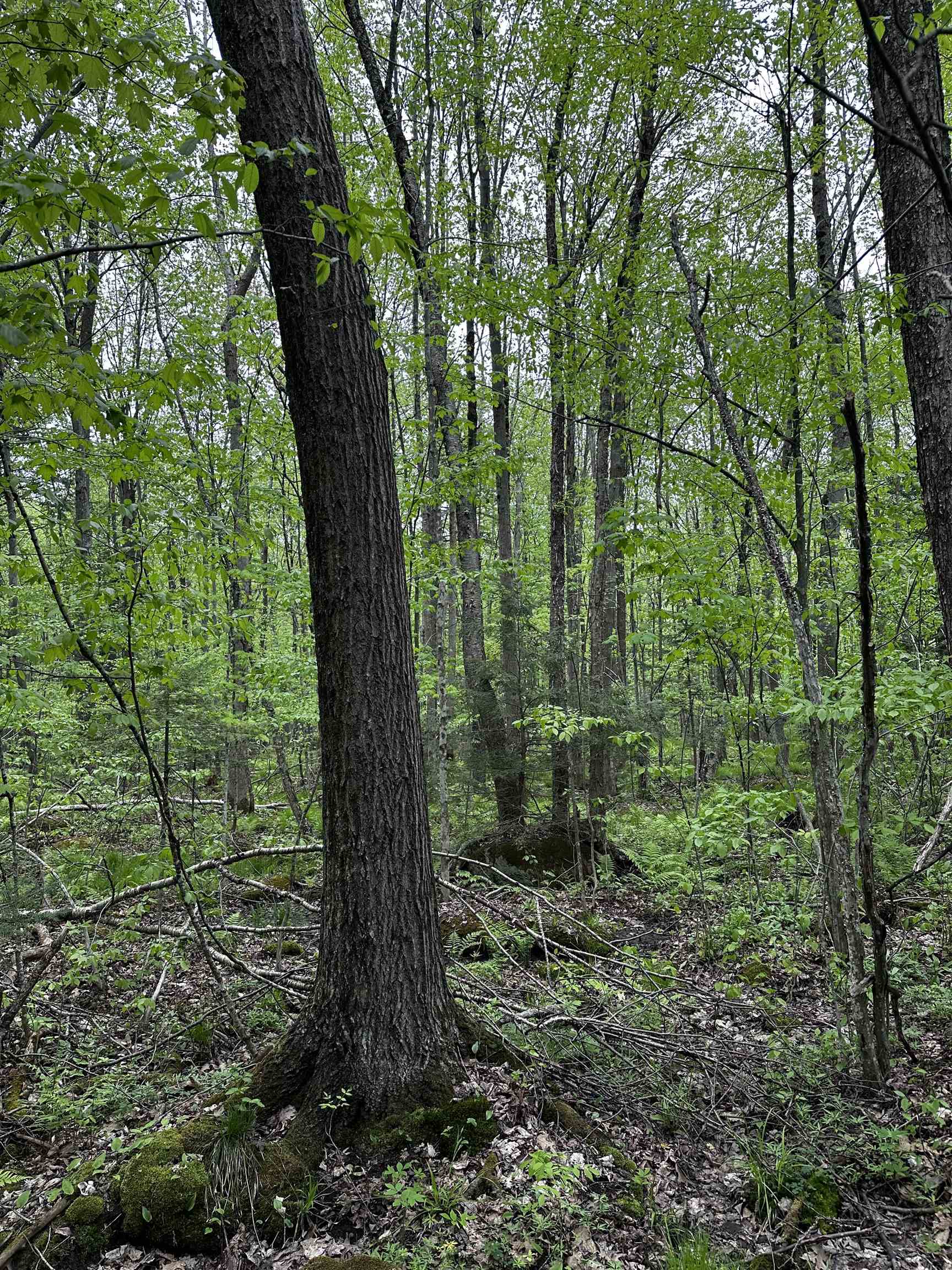 02 GRANITE ROAD, Wausau, Wisconsin 54403, ,Land,For Sale,02 GRANITE ROAD,22502229