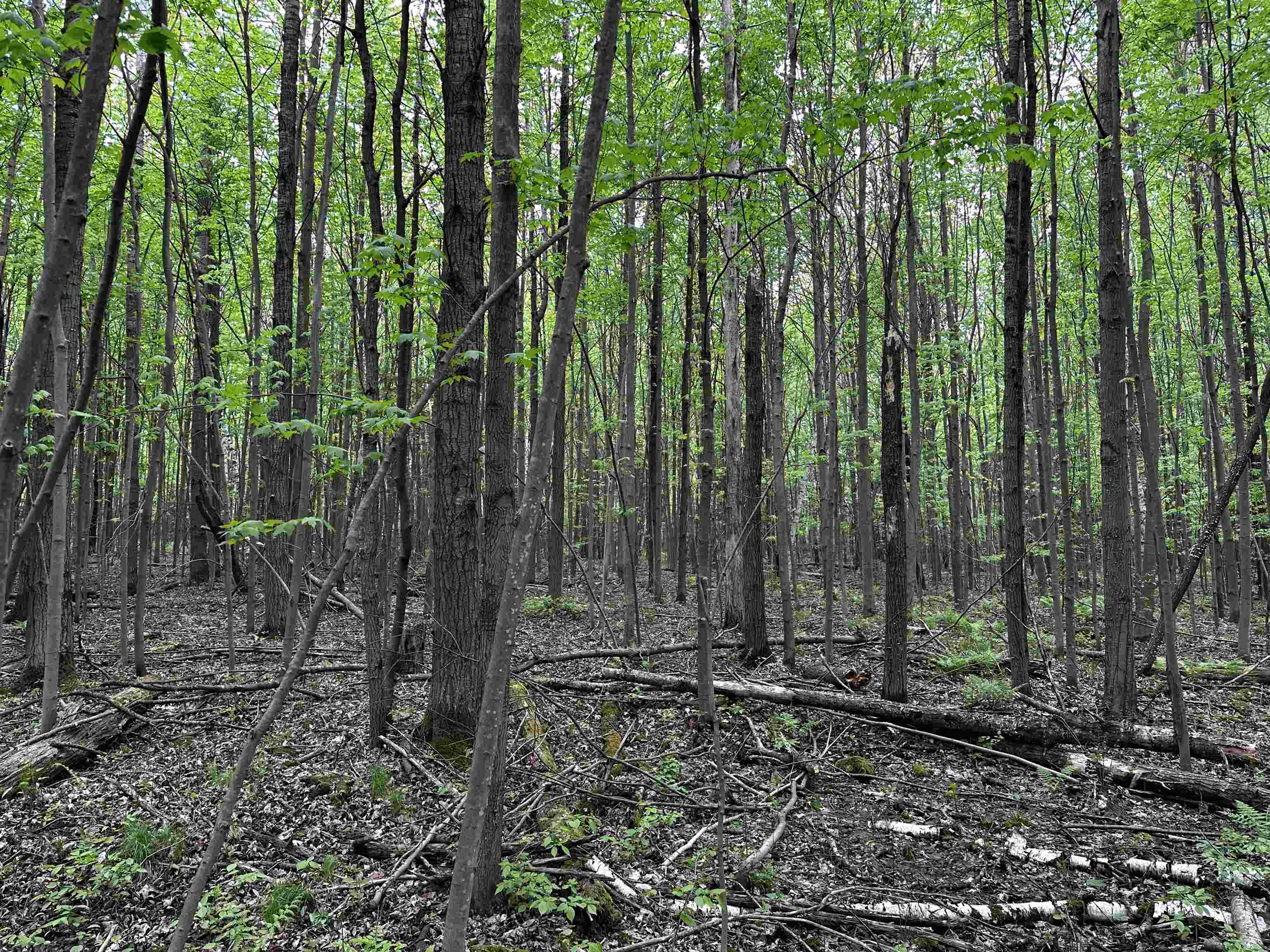 02 GRANITE ROAD, Wausau, Wisconsin 54403, ,Land,For Sale,02 GRANITE ROAD,22502229