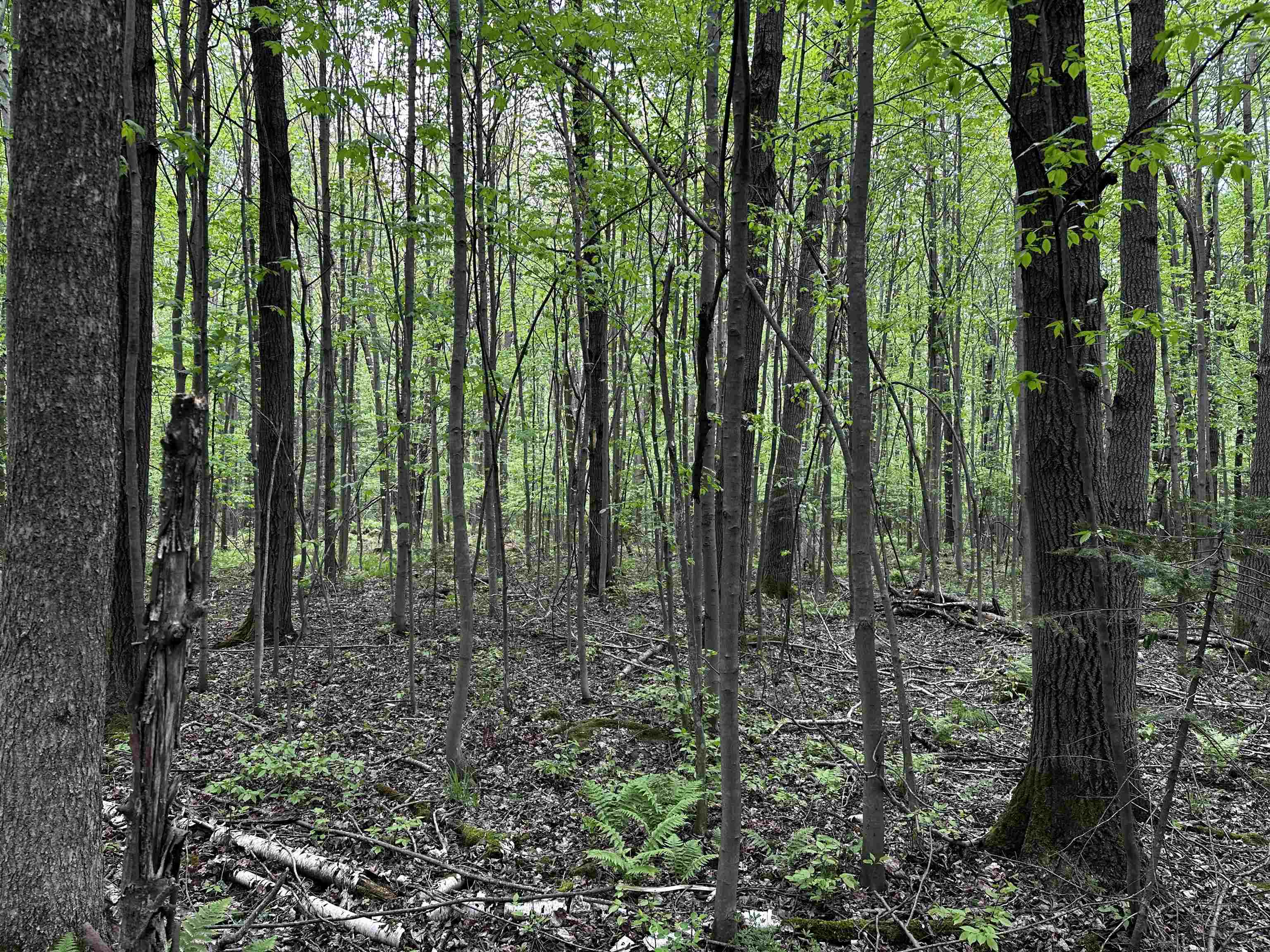 02 GRANITE ROAD, Wausau, Wisconsin 54403, ,Land,For Sale,02 GRANITE ROAD,22502229