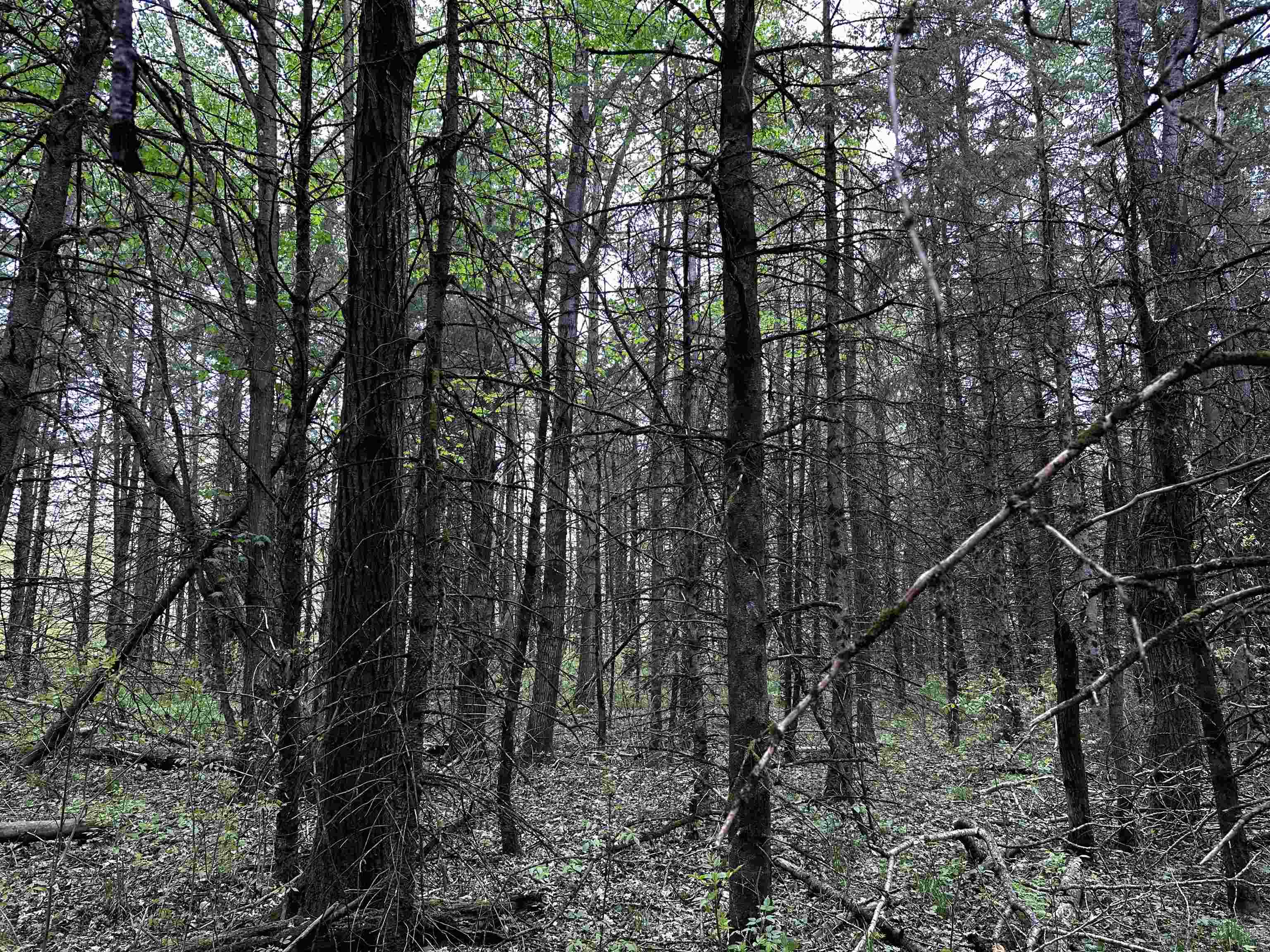 02 GRANITE ROAD, Wausau, Wisconsin 54403, ,Land,For Sale,02 GRANITE ROAD,22502229