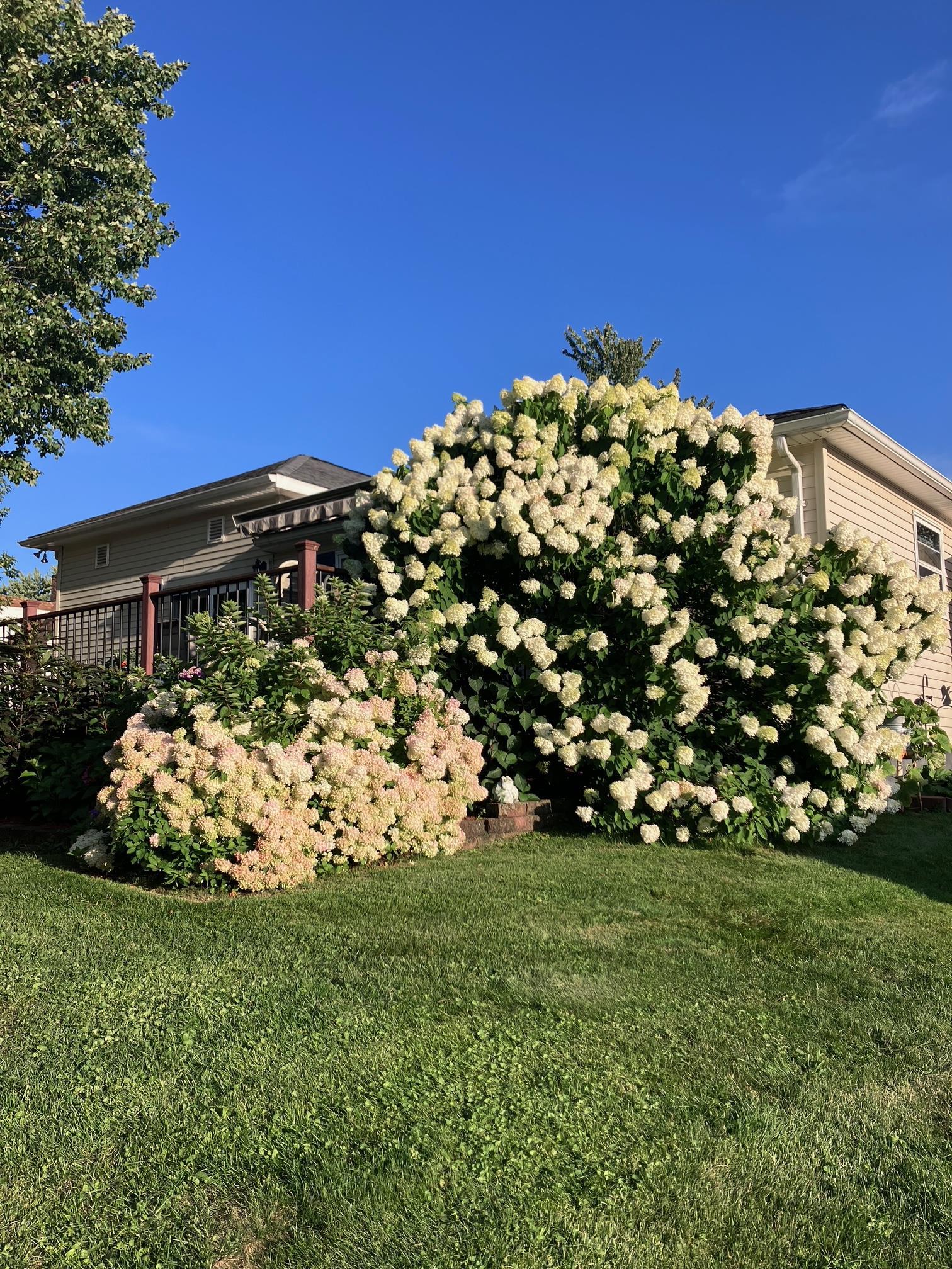 208 W MILLER STREET, Greenwood, Wisconsin 54437, 3 Bedrooms Bedrooms, ,2 BathroomsBathrooms,Residential,For Sale,208 W MILLER STREET,22502232