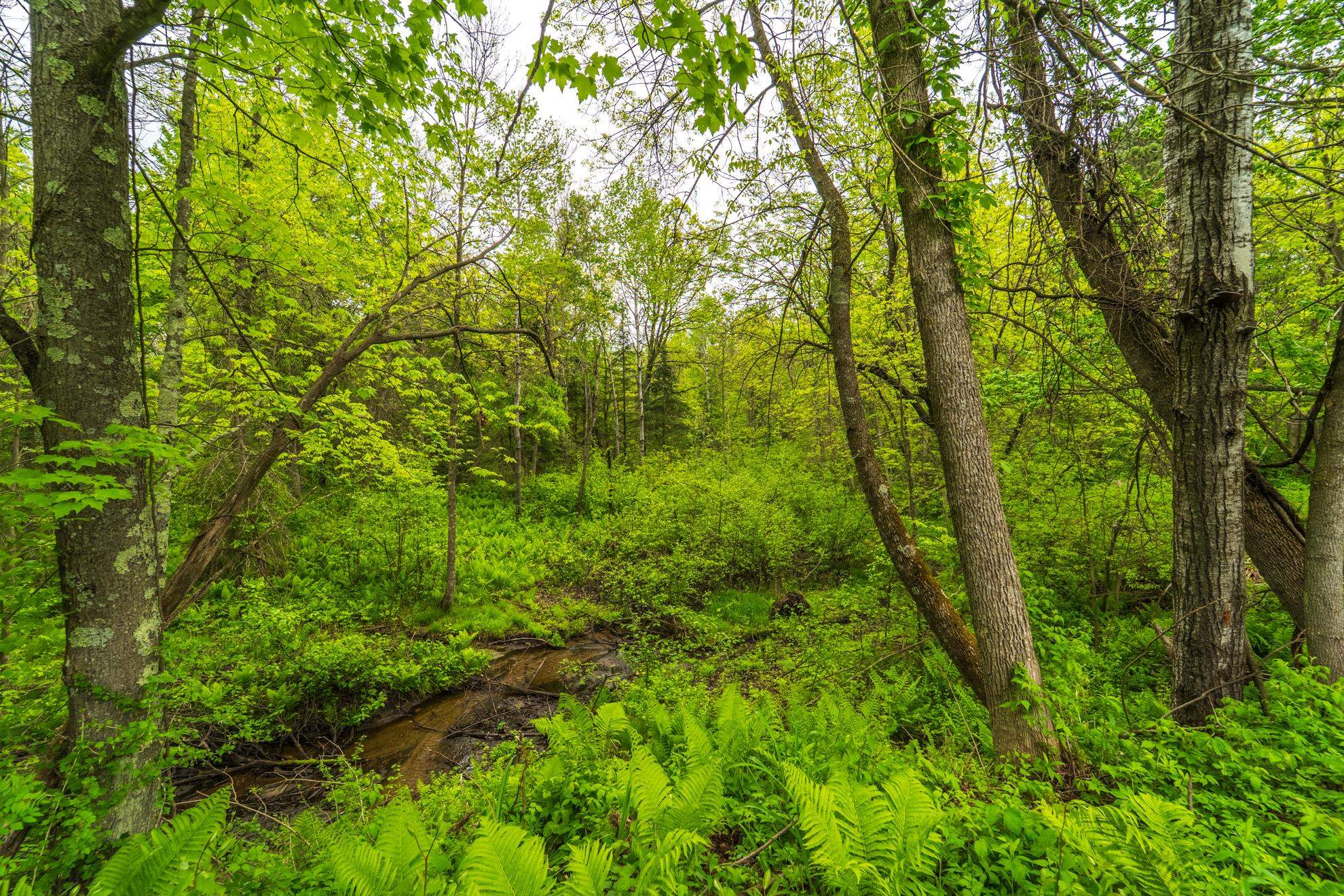 143406 COUNTY ROAD NN, Marathon, Wisconsin 54448, 2 Bedrooms Bedrooms, ,2 BathroomsBathrooms,Residential,For Sale,143406 COUNTY ROAD NN,22502240