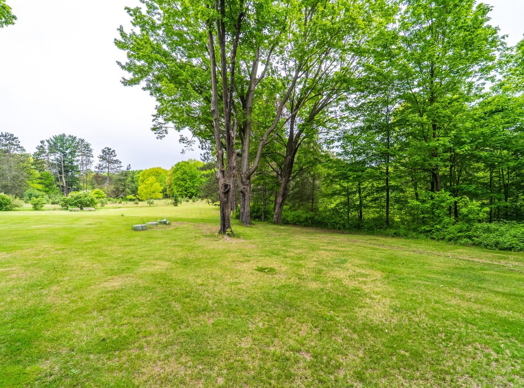 147180 COUNTY ROAD NN, Wausau, Wisconsin 54401, 3 Bedrooms Bedrooms, ,1 BathroomBathrooms,Residential,For Sale,147180 COUNTY ROAD NN,22502245