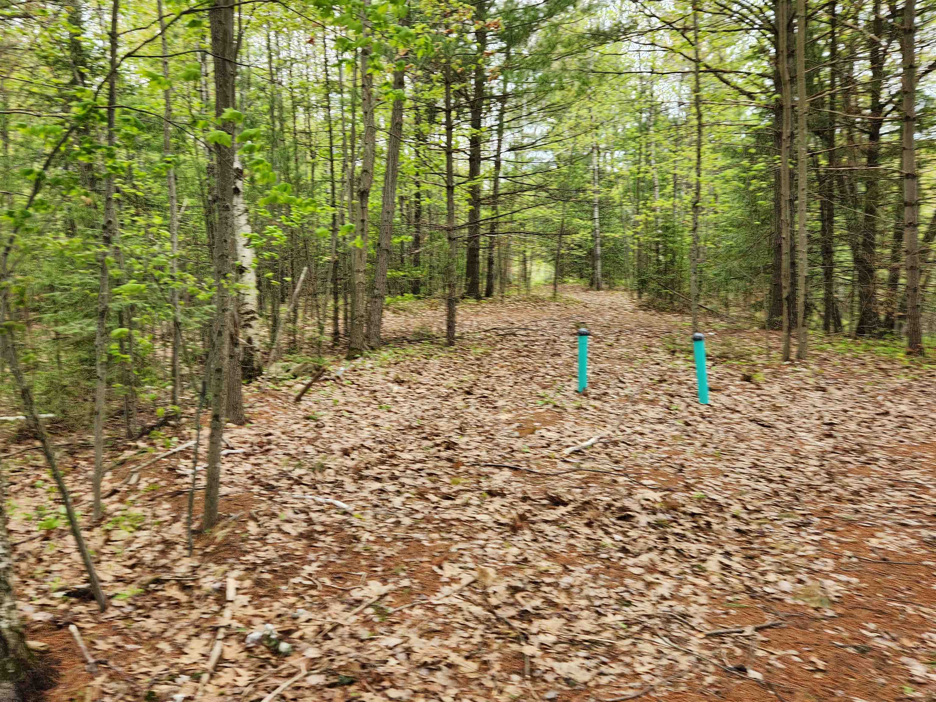 N9752 WASKO LANE, Wausaukee, City of, Wisconsin 54143, 2 Bedrooms Bedrooms, ,1 BathroomBathrooms,Residential,For Sale,N9752 WASKO LANE,22502246