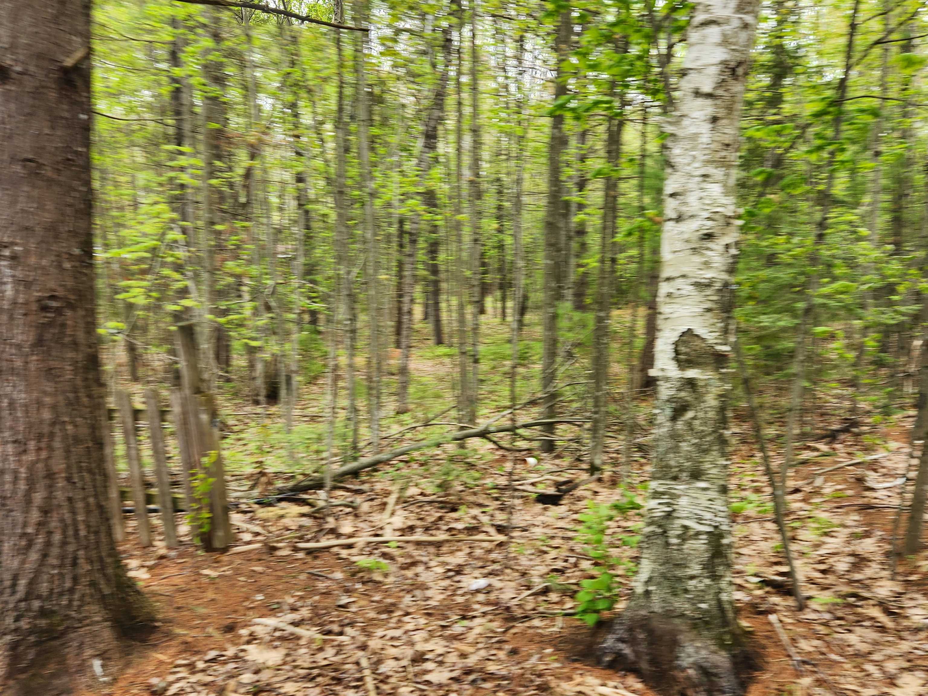 N9752 WASKO LANE, Wausaukee, City of, Wisconsin 54143, 2 Bedrooms Bedrooms, ,1 BathroomBathrooms,Residential,For Sale,N9752 WASKO LANE,22502246