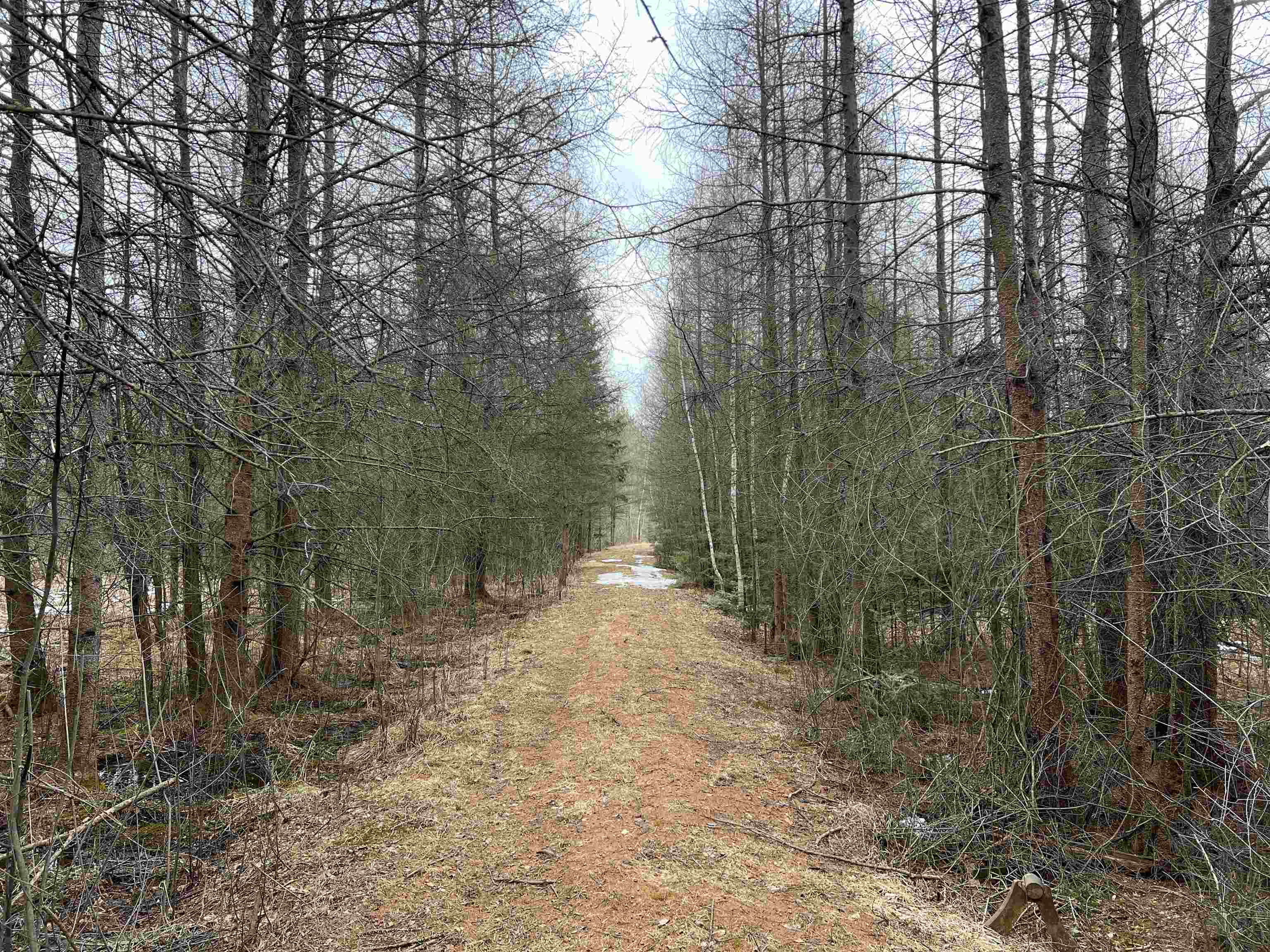 00 COUNTY ROAD J, Wausau, Wisconsin 54403, ,Land,For Sale,00 COUNTY ROAD J,22502255